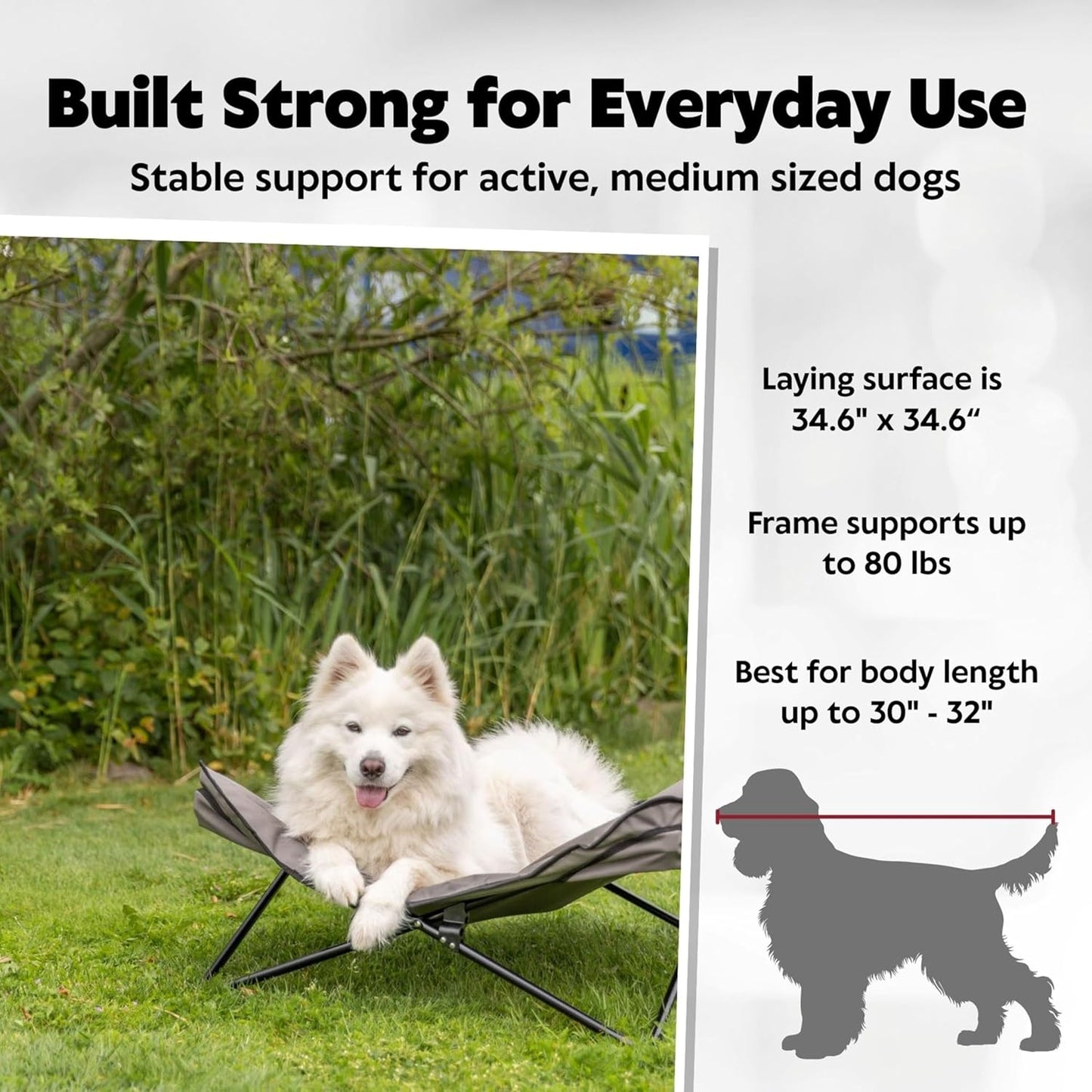 TRIXIE Camping Cot for Medium Dogs, Elevated Pet Travel Bed 34.6" x 34.6", Support Breeds up to 80 lbs, Portable Steel Frame Lounger with Cushioned Removable Topper, Foldable Design
