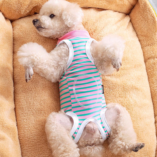 2 Packs Pet Dog Recovery Onesie Suit for Dogs Cats After Surgery,Dog Abdominal Wounds Bandages Cone E-Collar Alternative. (Grey, XL)