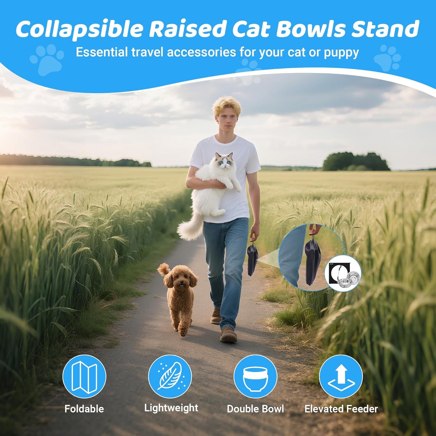 Upgraded Elevated Cat Bowls,10°Tilted Foldable Stand Anti Vomiting Raised Cat Dishes for Food and Water,2 Stainless Steel Bowls for Cats and Puppy (1 Pack)