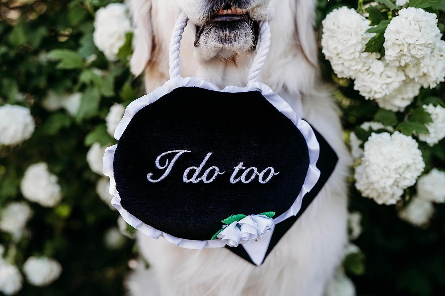 ZippyPaws Wedding Toy - Dog Squeaky Toy to Keep Them Busy, Cute Plush for Small, Medium, & Large Dogs, Stuffed Puppy Toy, Pet Products, Gift for All Breeds, 2 Round Squeakers - "I Do Too" Wedding Sign