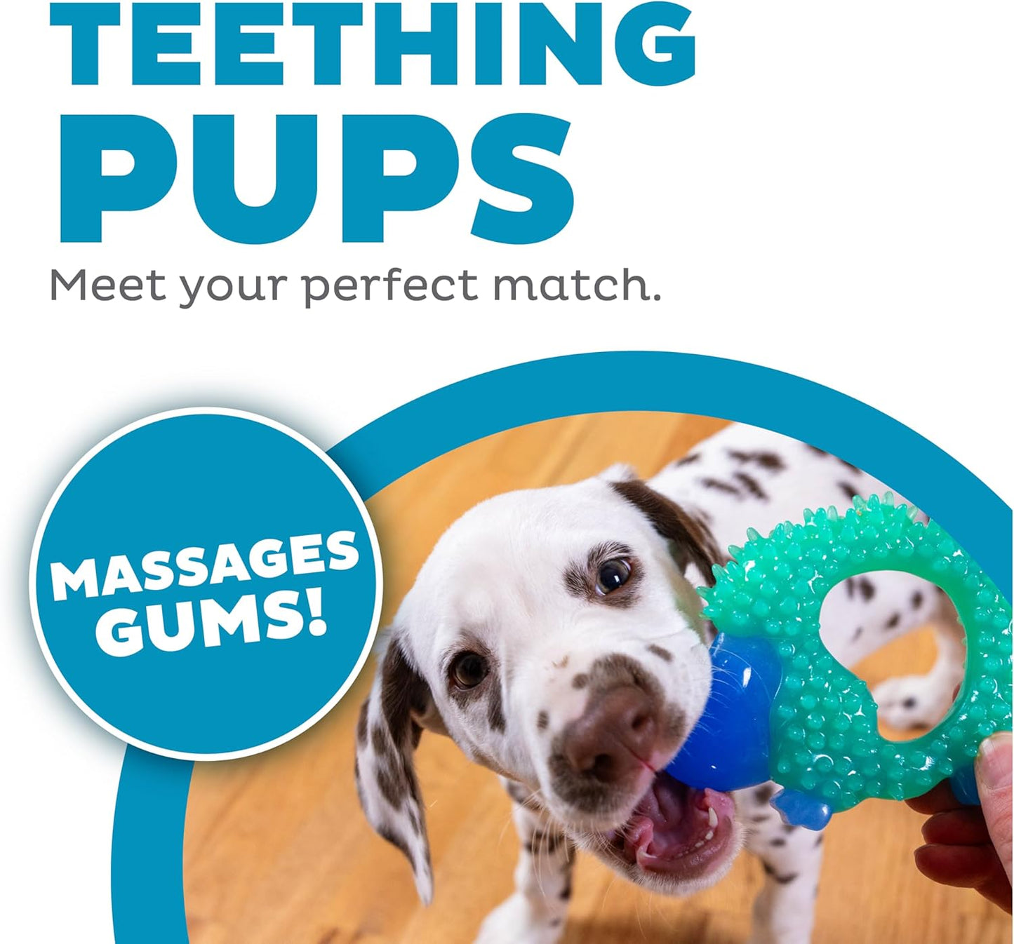 Pupstages Cutie Chewies Hedgehog Dental Dog Chew Toy — Multi-Textured, Massages Gums, Floats & Bounces for Teething Puppies & Small Dogs, 5" x 3.5" x 1"