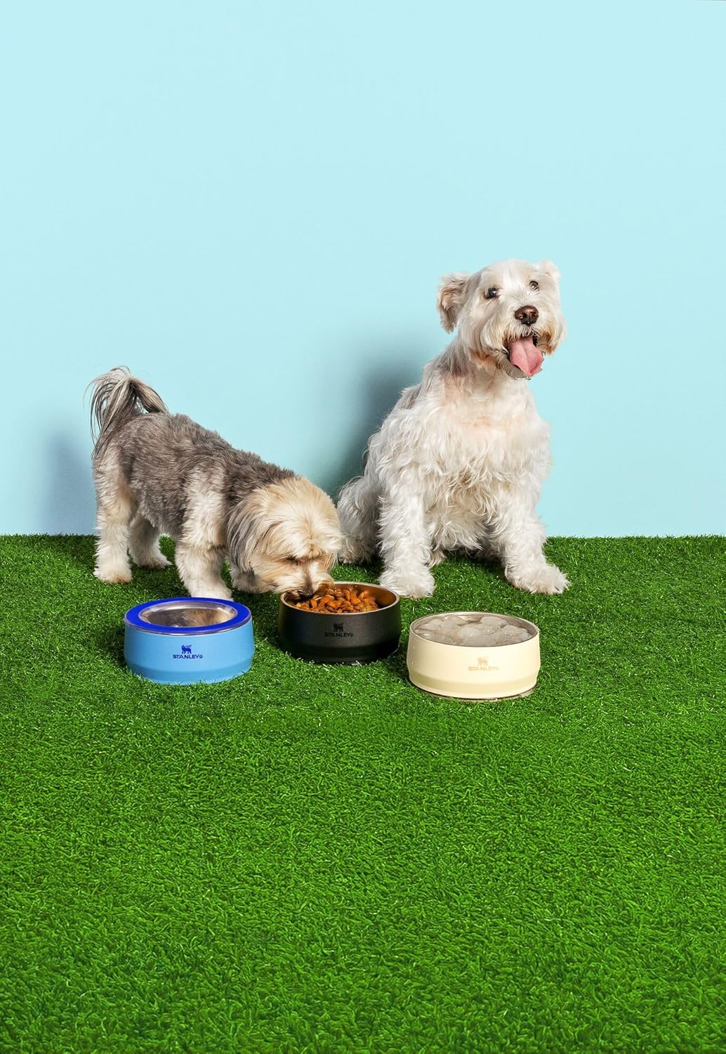 STANLEY Pet Bowl | 3-Cup (24 oz) Insulated Stainless Steel Dog & Cat Bowl | Splash-Resistant Lid | Dishwasher Safe | BPA-Free | Blue Sky