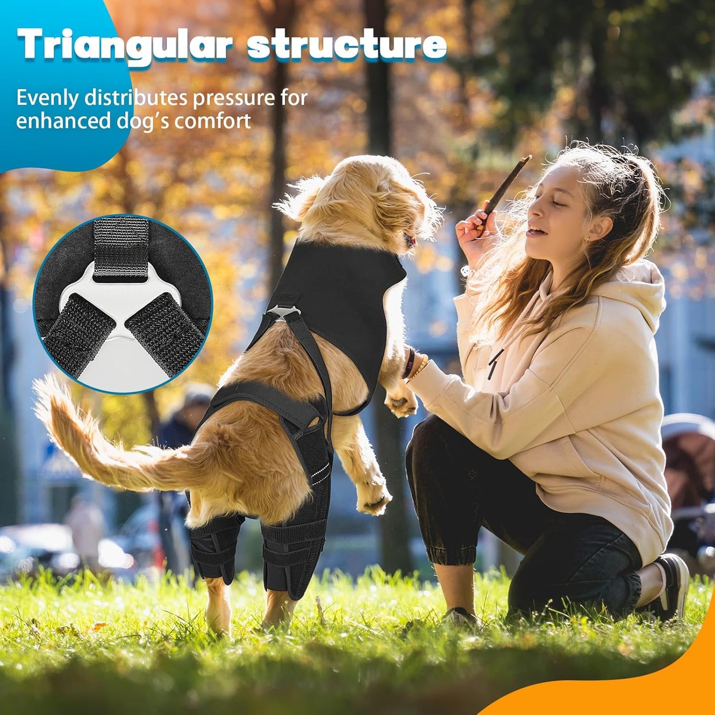 Dog Knee Brace for Back Leg, Adjustable Dog Leg Brace with 4 Stabilizers, Hip Support to Reduces Pain, Ligament Injuries & Luxating Patella & ACL CCL for Small Medium Large Dogs