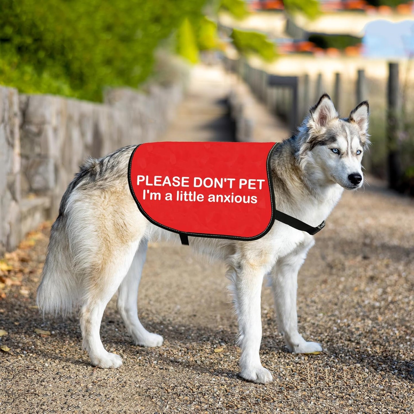 HOLLP Anxious Dog Jacket 'PLEASE DON'T PET I'm A Little Anxious' Red Christmas Dog Gift (Little Anxious-Large)