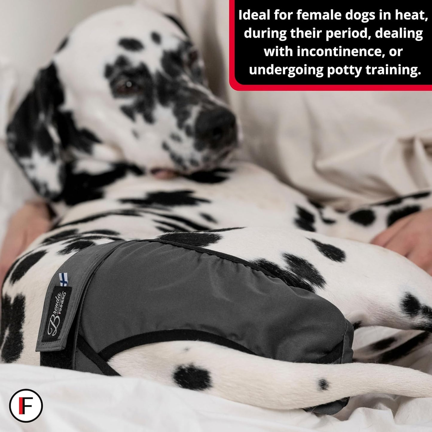 FINNERO Brenda Reusable Dog Diaper, Leak-Proof, Adjustable, Heat & Incontinence Protection, M – Gray