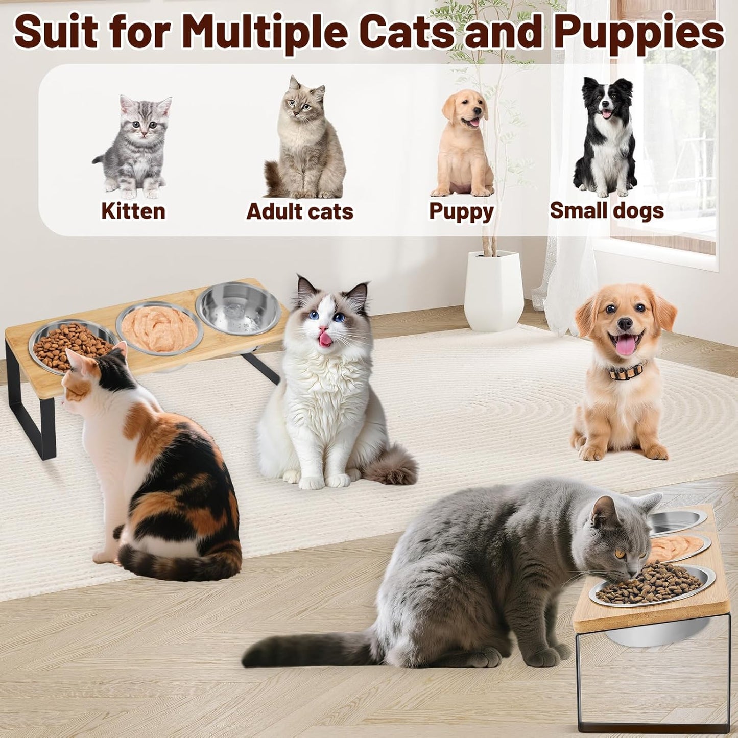 Elevated Cat Bowl, Raised Cat Food Bowls with 10° Tilted Stands, 3 Stainless Steel Bowls for Wet, Dry & Water, Hold by Bamboo Board, Anti Vomiting Cat Feeding Bowls with 4 Non-Slip Pads