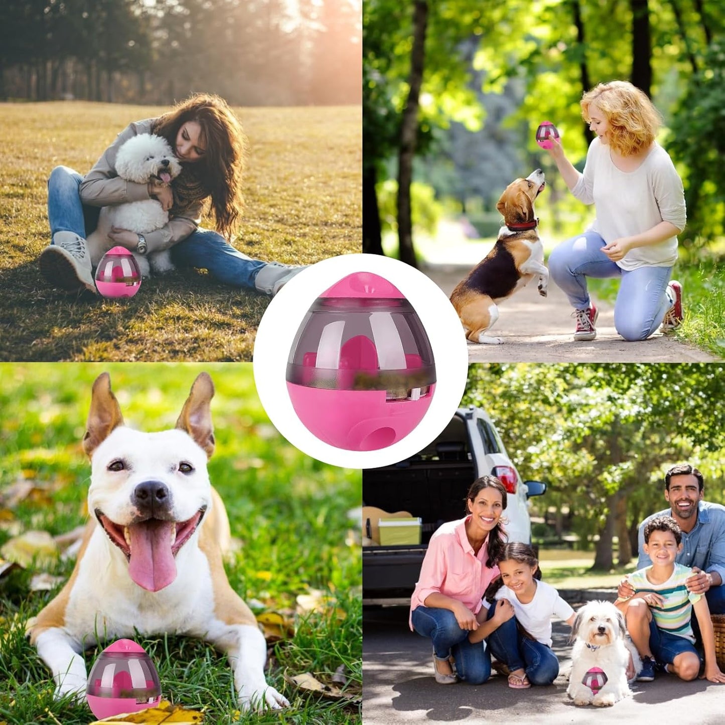 AIBOONDEE Automatic Pet Slow Feeder Treat Ball, Cat Dog Toy for Pet Increases IQ Interactive, Food Treat Dispensing Dog Toy（Rose）