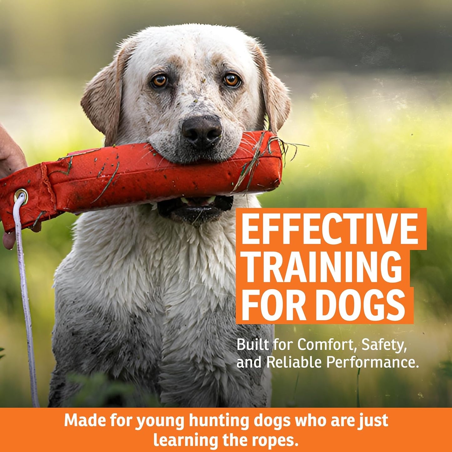 SportDOG Canvas Dummies - Hunting Dog Training Tool - Game Scent Absorber - Water-Ready Bumper - Durable Field Dummy - Weighted Toy - Puppy Size - 2.25" W X 8.5" L - Orange