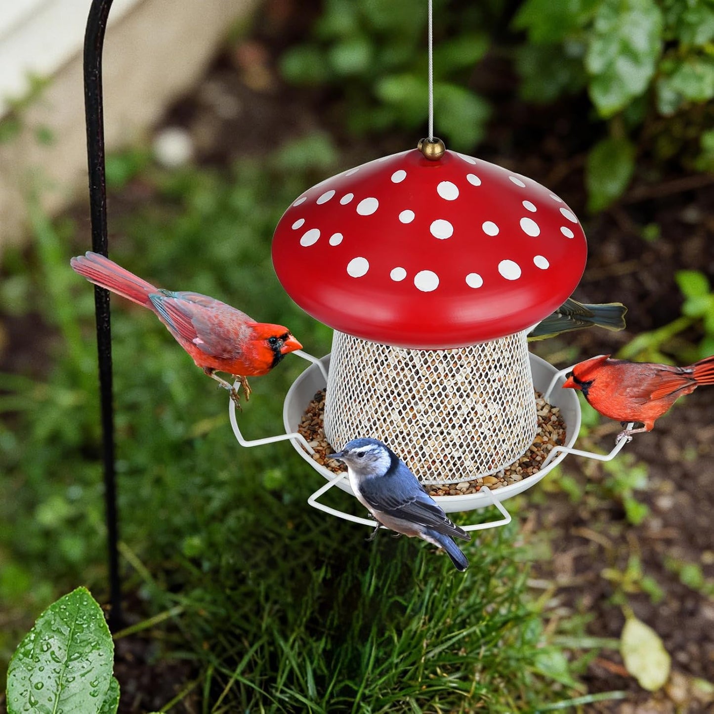 Bird Feeder, Heavy Duty Metal Bird Feeders for Outdoor Hanging, Cute Mushroom Shape Wild Birdfeeder for Outside Garden Yard (Red)