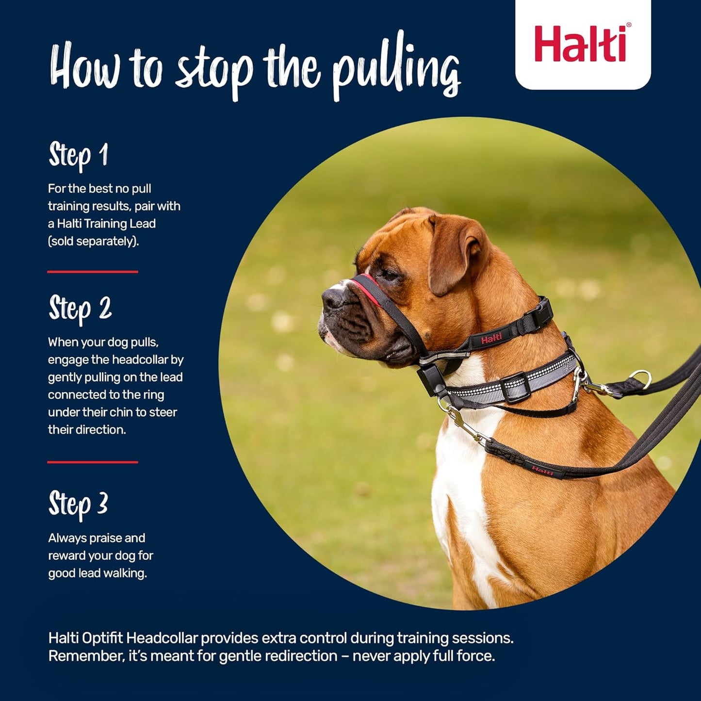 Halti Optifit Headcollar - Stop Your Dog Pulling on the Leash. Adjustable, Reflective and Lightweight, with Padded Nose Band. Dog Training Anti-Pull Collar for Medium Dogs (Size Medium)