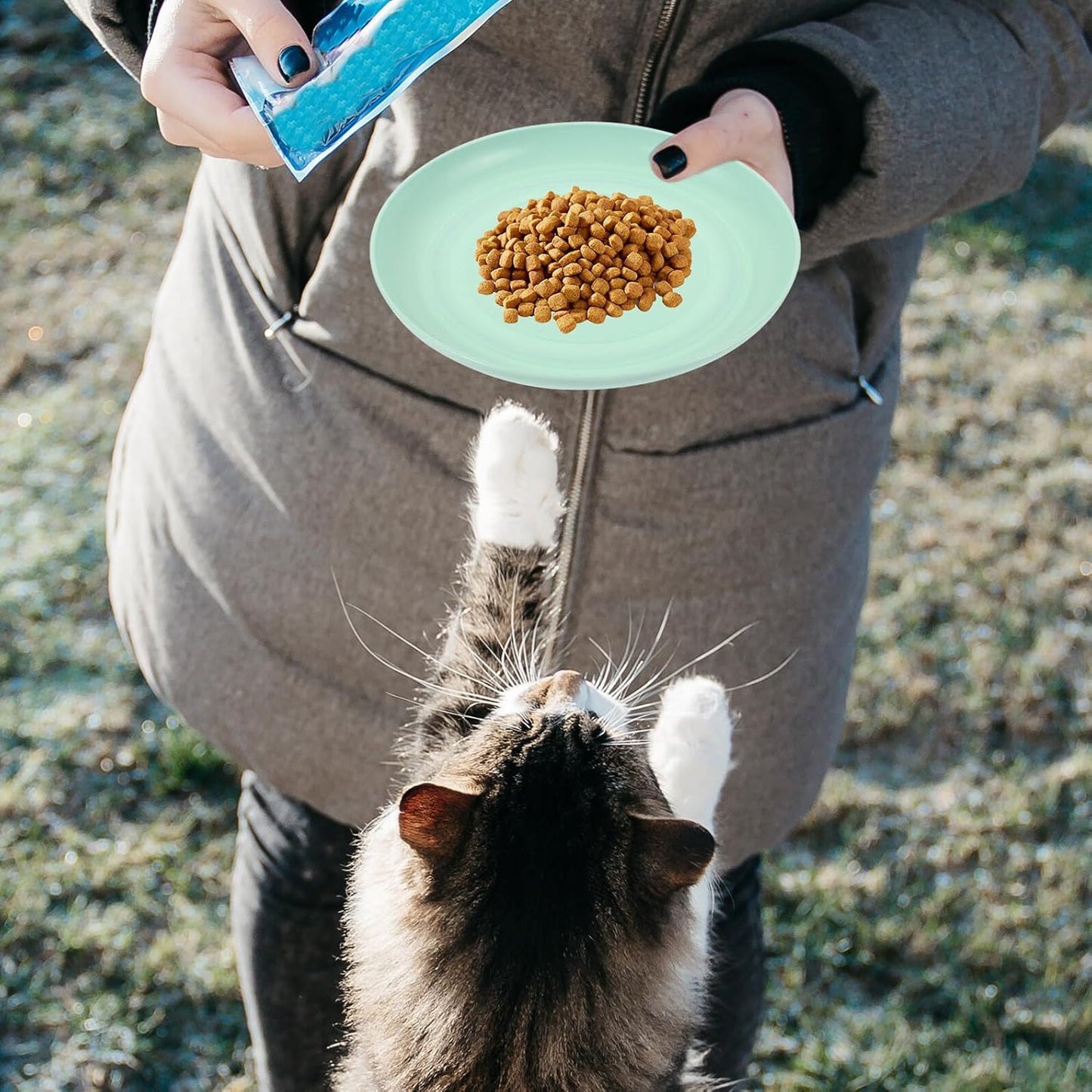 FAVOMOTO 4pcs Round Shallow Cat Food and Water Bowls Set, 15cm Flat Pet Plates for Wet Food, Small Kitten and Short-Legged Cats, Multi-Color Plastic Feeding Dishes for Indoor Use