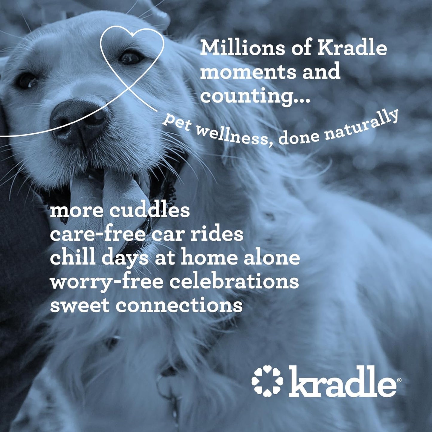 Kradle Bliss Bars for Dogs - Peanut Butter Flavored Calming - GABA L-Theanine - On The Go Packaging - Supports a Calm Demeanor - 12 Bars