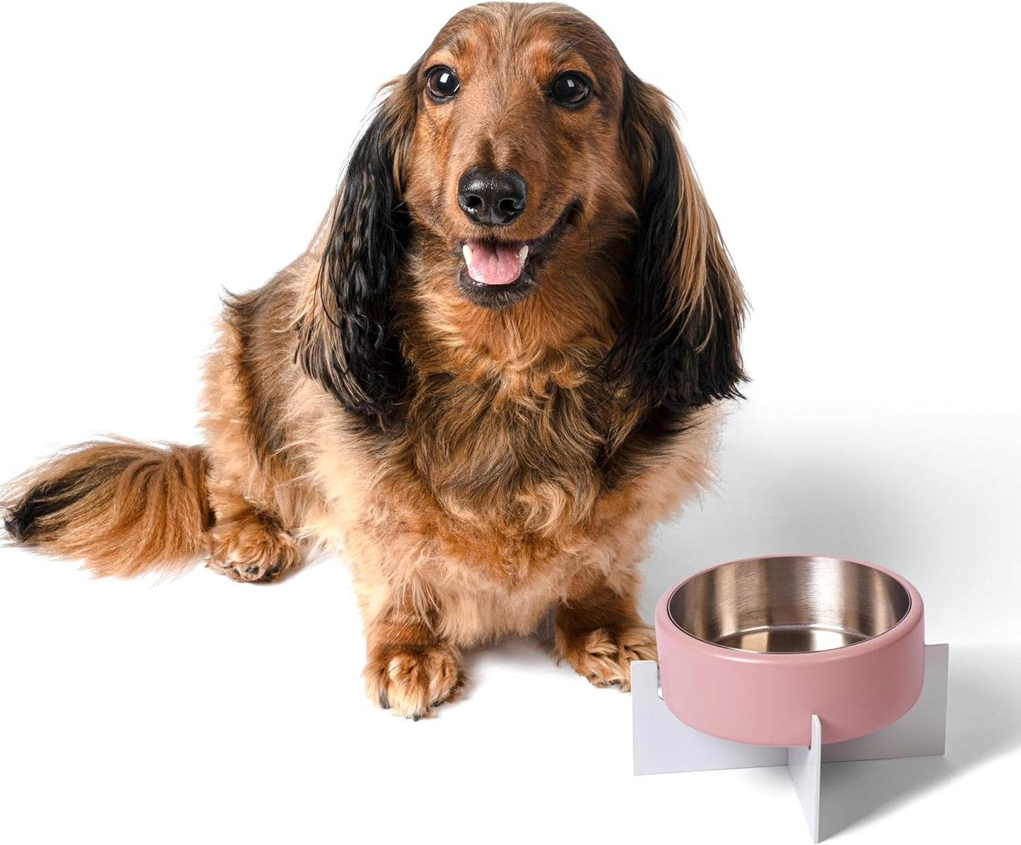 DBL3000A Intersecta Small/Medium Concrete and Stainless Steel Bowl 16oz (2 Cups) with Metal Stand Pet Feeder, Pink/White