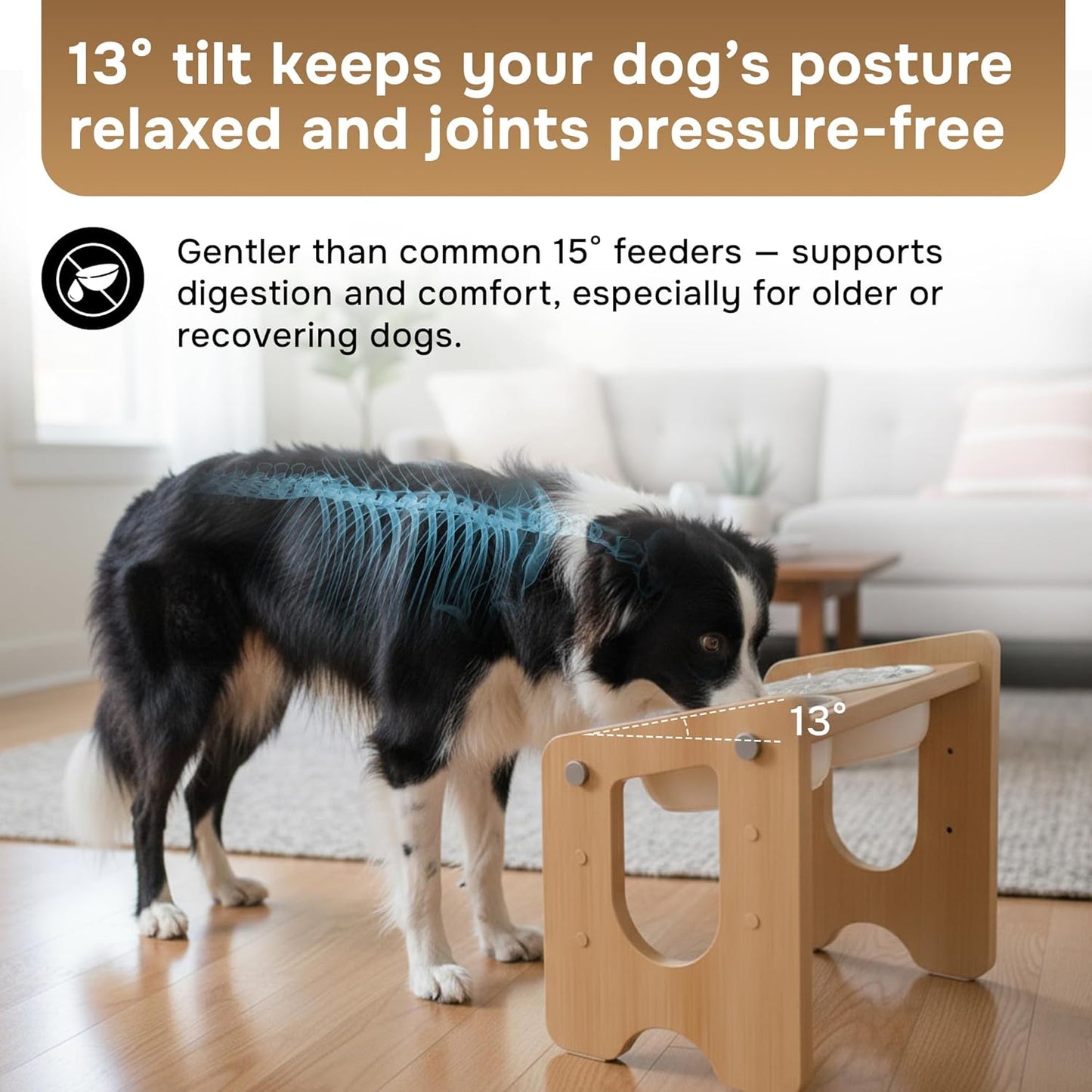 Ceramic Dog Bowls with Stand, Adjustable Elevated Dog Bowls (3 Heights), Bamboo Raised Dog Bowl Stand with 2 Ceramic Bowls (22 oz), 13° Tilt, Non-Slip – for Small & Medium Dogs
