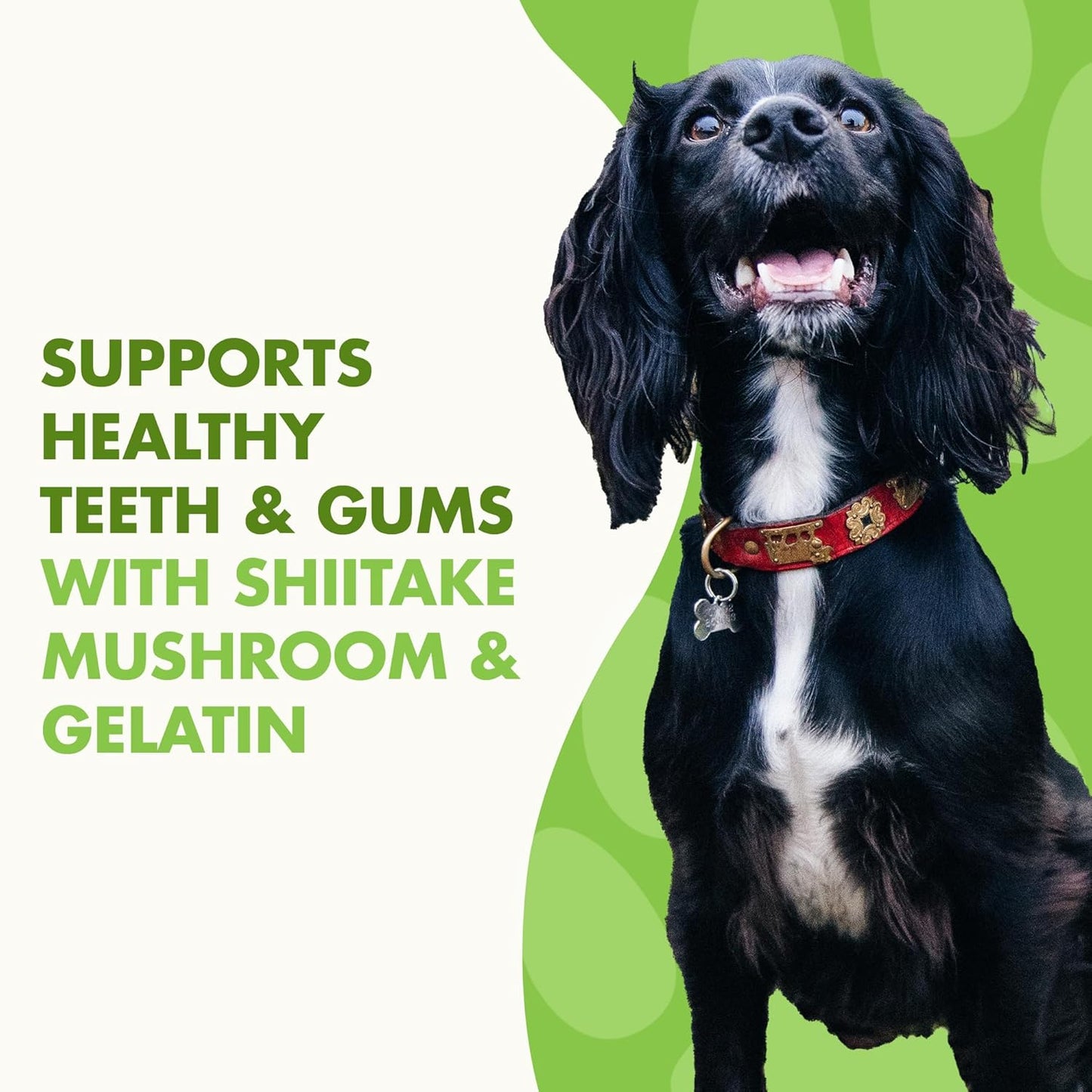 LIQUID-VET Magic-STIX™ Joints, Teeth & Fun in One – Small Dog – Chicken Flavor – Month Supply – Made in USA