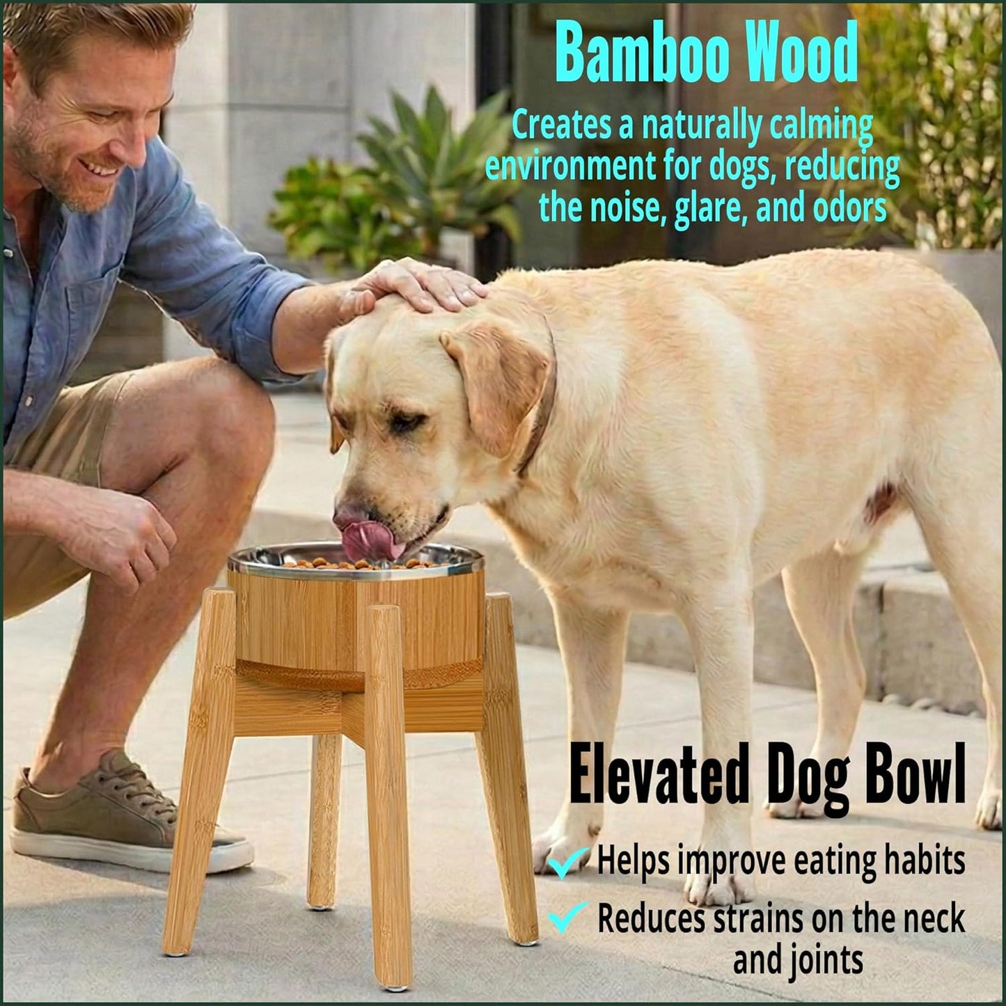 Elevated Dog Bowl for Mid-Large Breed, (12-Inch High) - Raised Food and Water Bowl with Stand, Flip-Resistant - Real Bamboo and Stainless Steel
