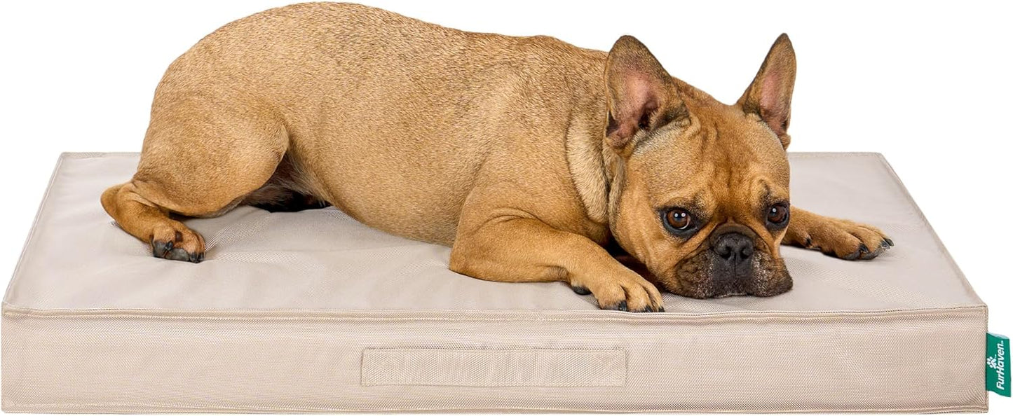 Premium Indoor-Outdoor Deluxe Orthopedic Mattress Pet Bed, Biscuit, Medium