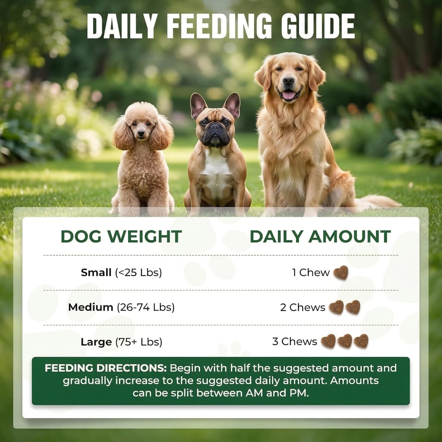 Probiotics for Dogs 20 Billion CFU - 6 Strains with Bacillus Subtilis - Soft Chews for Dog Diarrhea, Gas, Bad Breath & Itchy Skin - Digestive & Immune Support - 90 Count