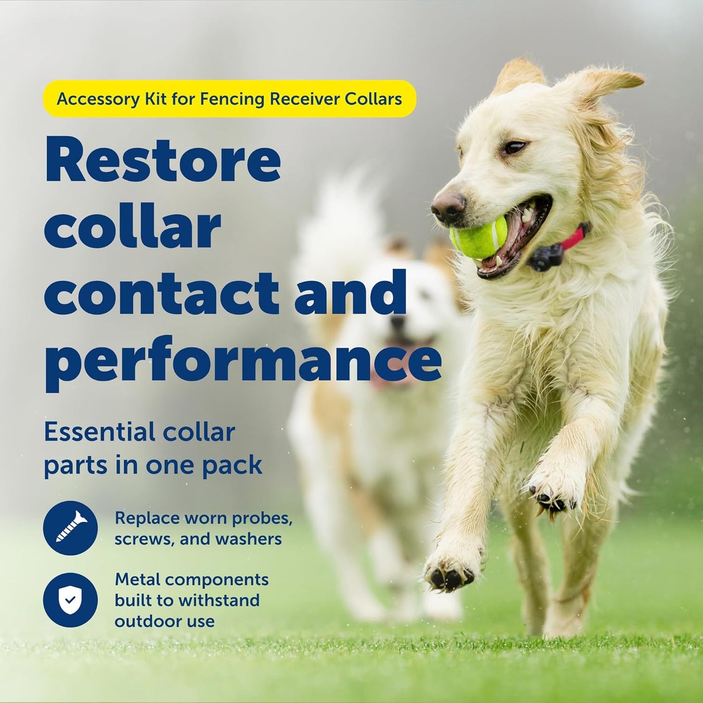 PetSafe Accessory Kit for Fencing Receiver Collars - Replacement Components for In-Ground & Wireless Dog Receiver Collars - Includes Contact Points, Clear Caps, Screws & Washers