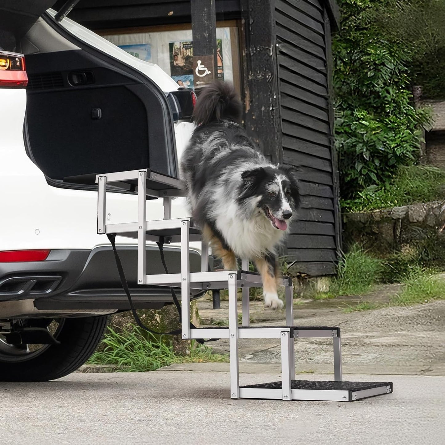 Car Ramp for Dogs – Adjustable Foldable Dog Ramp for Cars, Trucks & SUVs | Non-Slip Rug Surface, Supports Small/Large Dogs Up to 250 lbs | 5-Step
