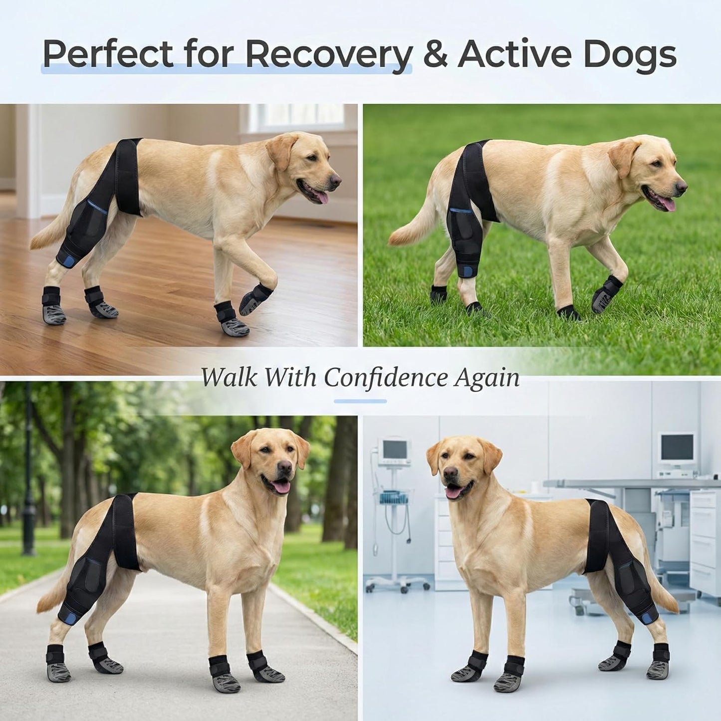 Dog Rear Leg Support Brace with Anti-Slip Socks – Adjustable for Joint Pain Relief and Recovery, Improves Mobility for Walking & Outdoor Use, Durable Black Size L (ACL Support)