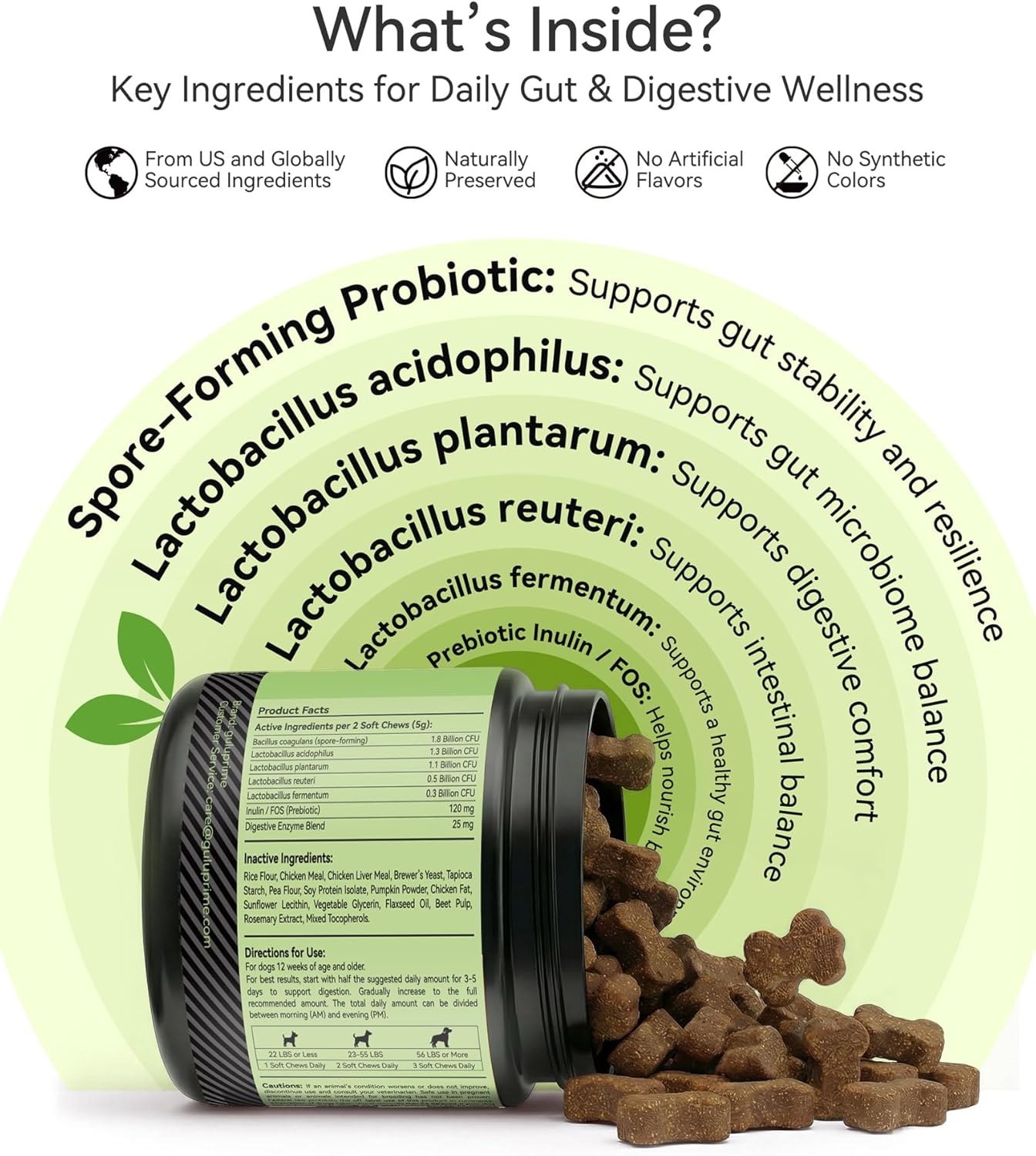 Probiotic Soft Chews for Dogs – Daily Gut & Digestive Support, Spore-Forming Probiotic with Multi-Strain Lactobacillus, Prebiotic Inulin/FOS, Chicken Flavor, 120 Chews