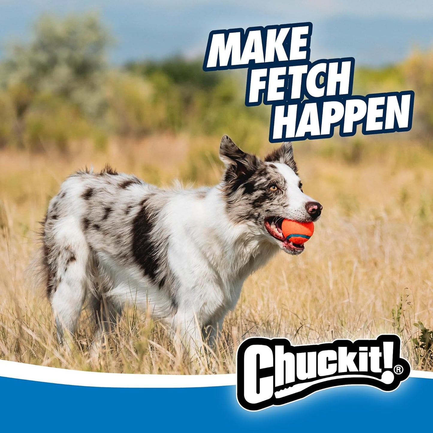 Chuckit! Ultra Dog Ball & Launcher Bundle Classic 26M 26" Length with 2 Pack Medium (2.5") Bouncy Fetch Balls for Dogs 20-60 lbs, Dog Fetch Ball Thrower