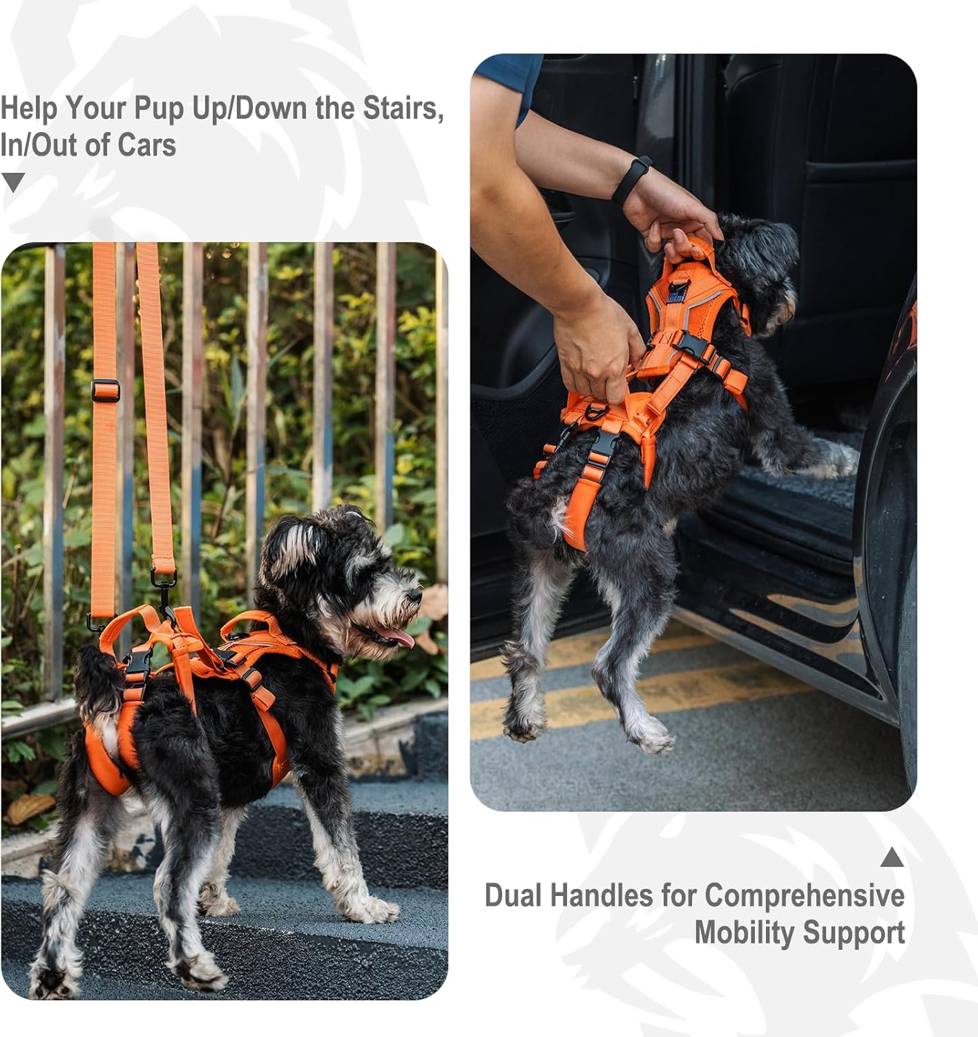 OneTigris Lift Harness for Small Dogs XS, Sling Carrier to Help Lift and Walk, Outdoor Full Body Support with Reflective Straps for Back Legs