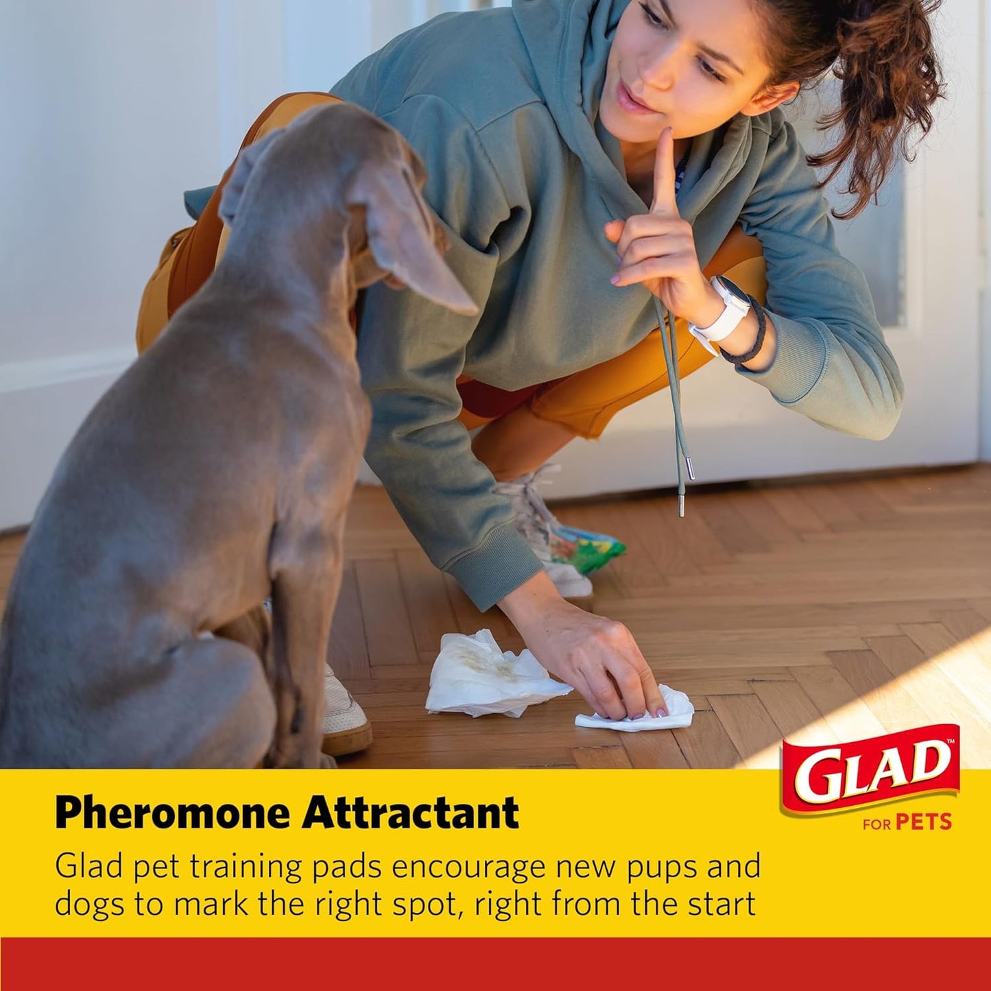 Glad for Pets Dual Action Freshness Activated Carbon Puppy Training Pads with Fragrance Release, Scented Pee Pads, Ultra Absorbent, Odor Control. 23"x23" 30ct