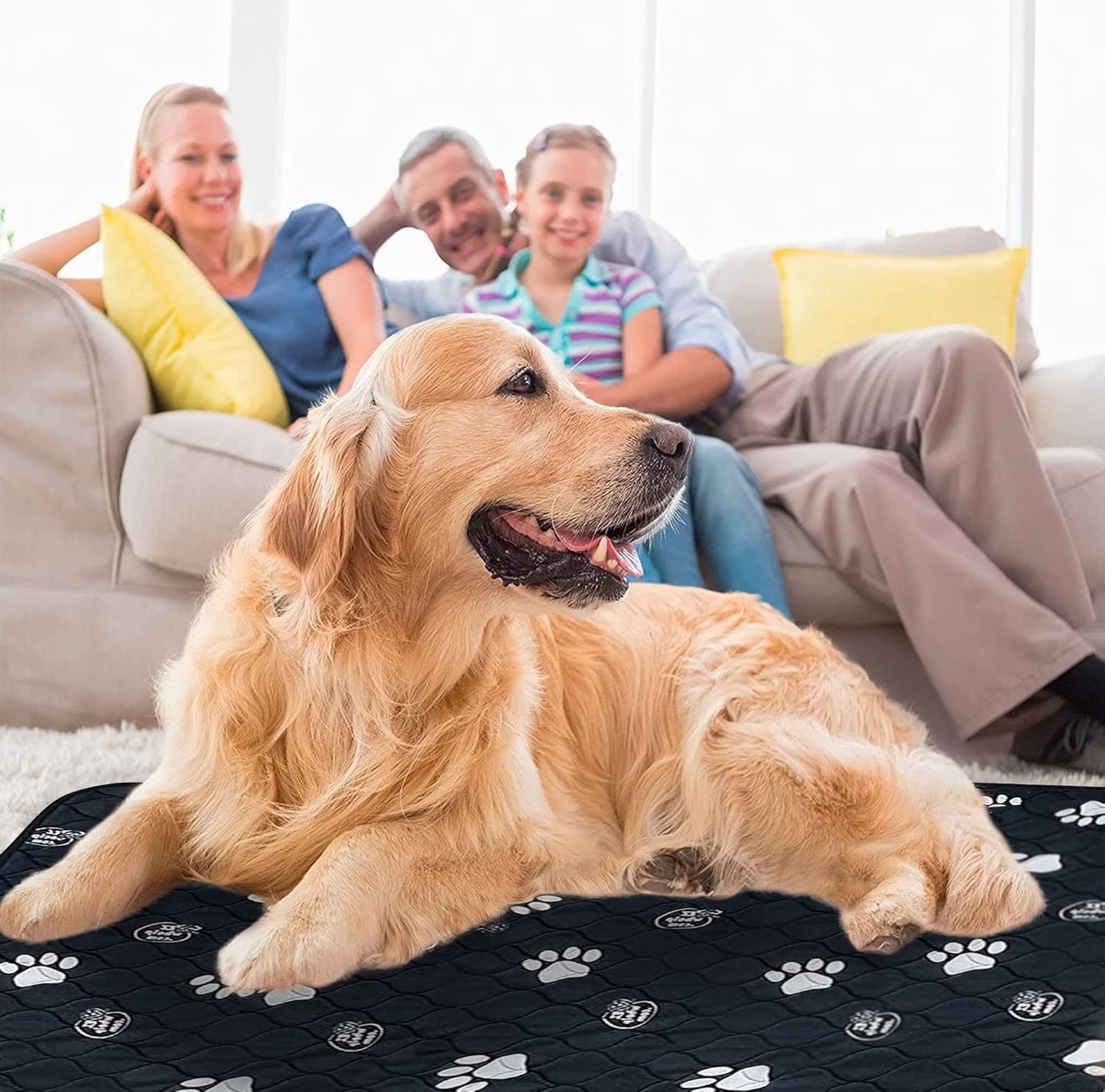 EZwhelp Reusable Dog Pee Pads, Washable Waterproof Mats for Dog Potty Training or Whelping Pads, 48x72 Inch, 2 Pack