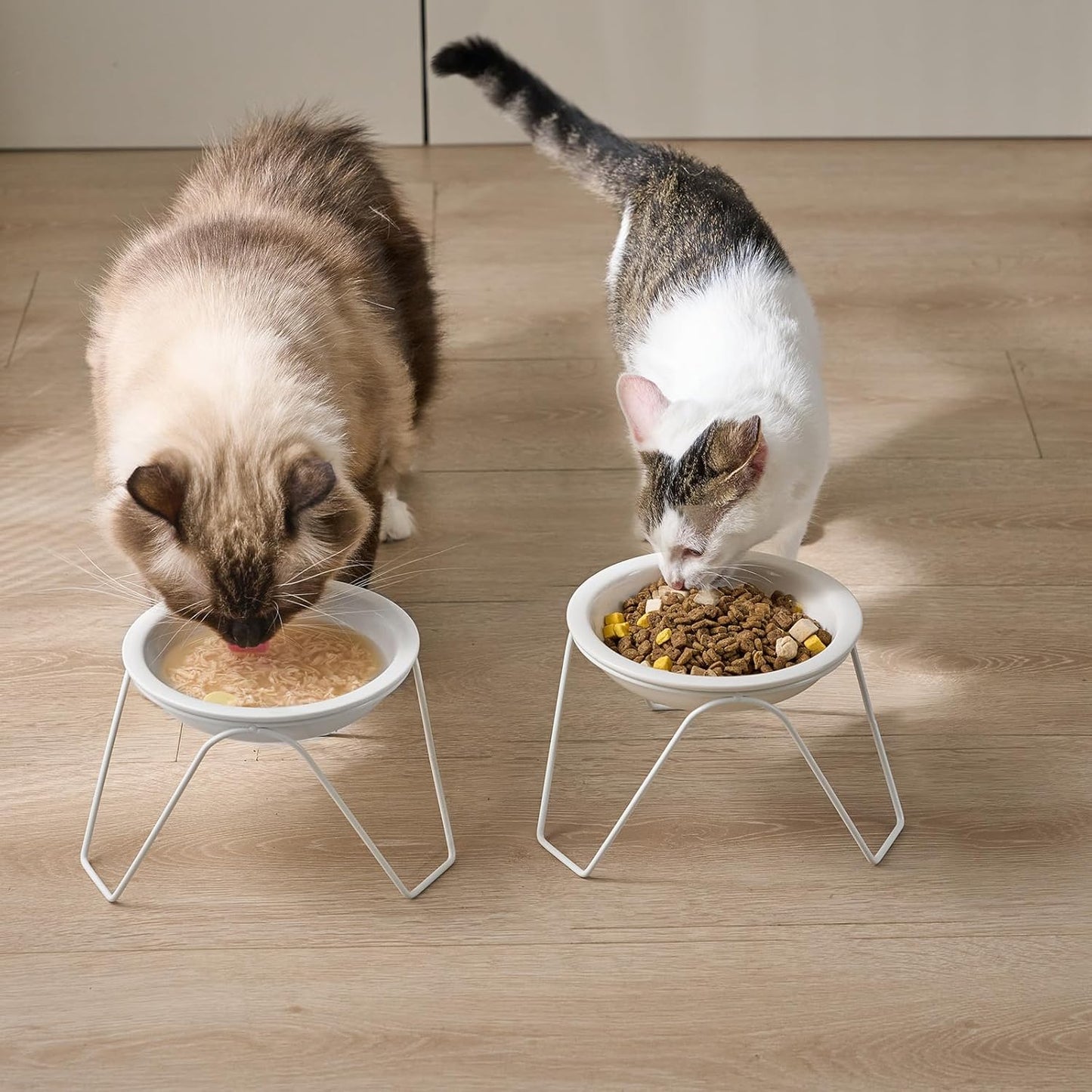 2-Pack Ceramic Raised Cat Bowls for Food and Water, Elevated Pet Dishes Bowls with Stand, Cats and Small Dogs, Dishwasher Safe
