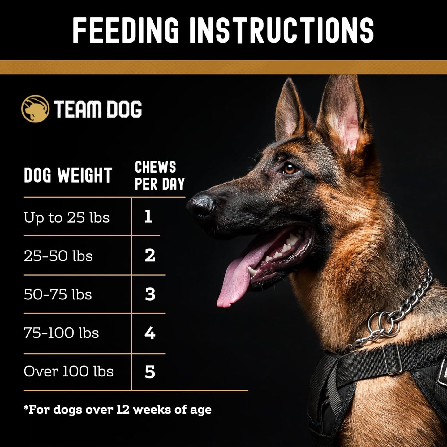 TEAM DOG Calming Chews - Anxiety Relief Treats | Natural Calming Bites with Melatonin, Chamomile, Valerian & Passion Flower | 120 Soft Chews for Large & Small Dogs | Delicious Peanut Butter Flavor
