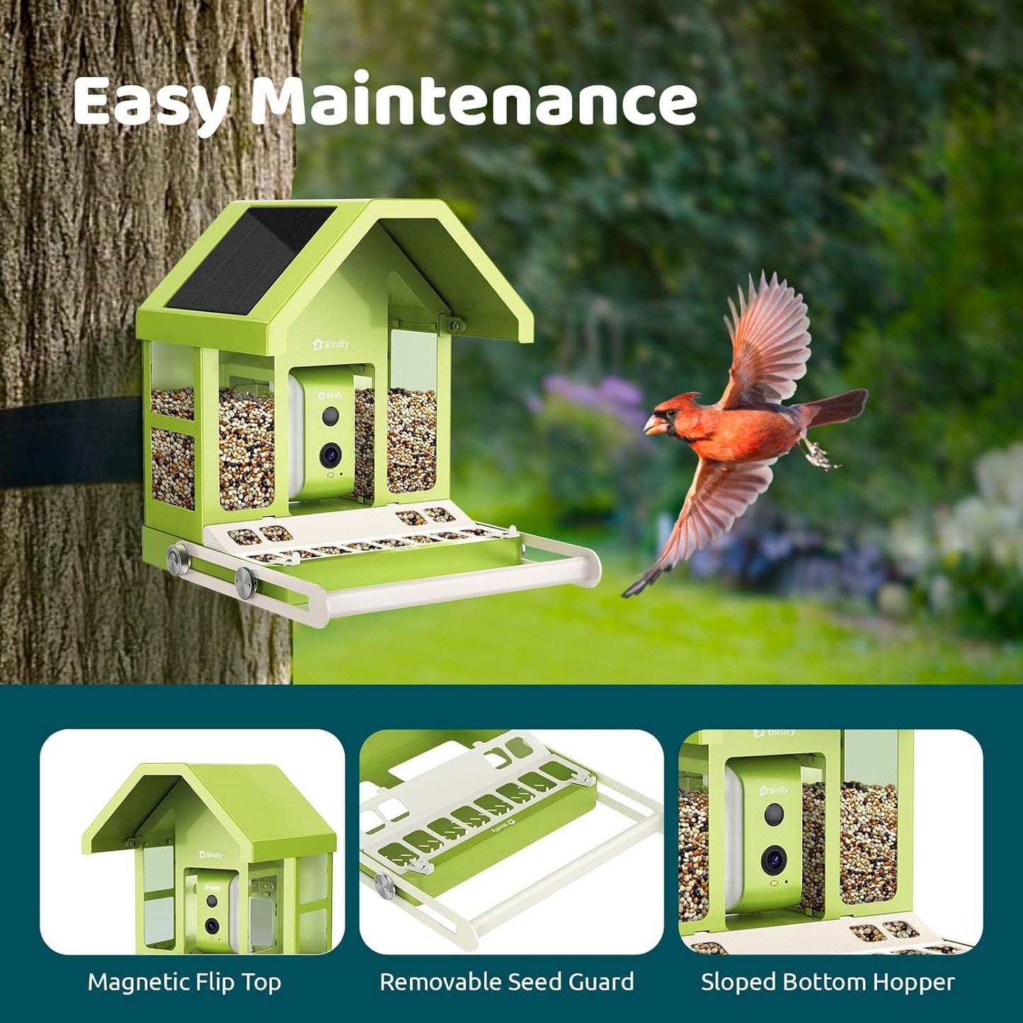 Birdfy Smart Bird Feeder with Camera, Durable Metal Feeders for Outdoors, Auto-Identify & Record Video, Instant Alert, Live Bird Watching Camera Solar, Gifts for Backyard Birder (AI Lifetime Free)