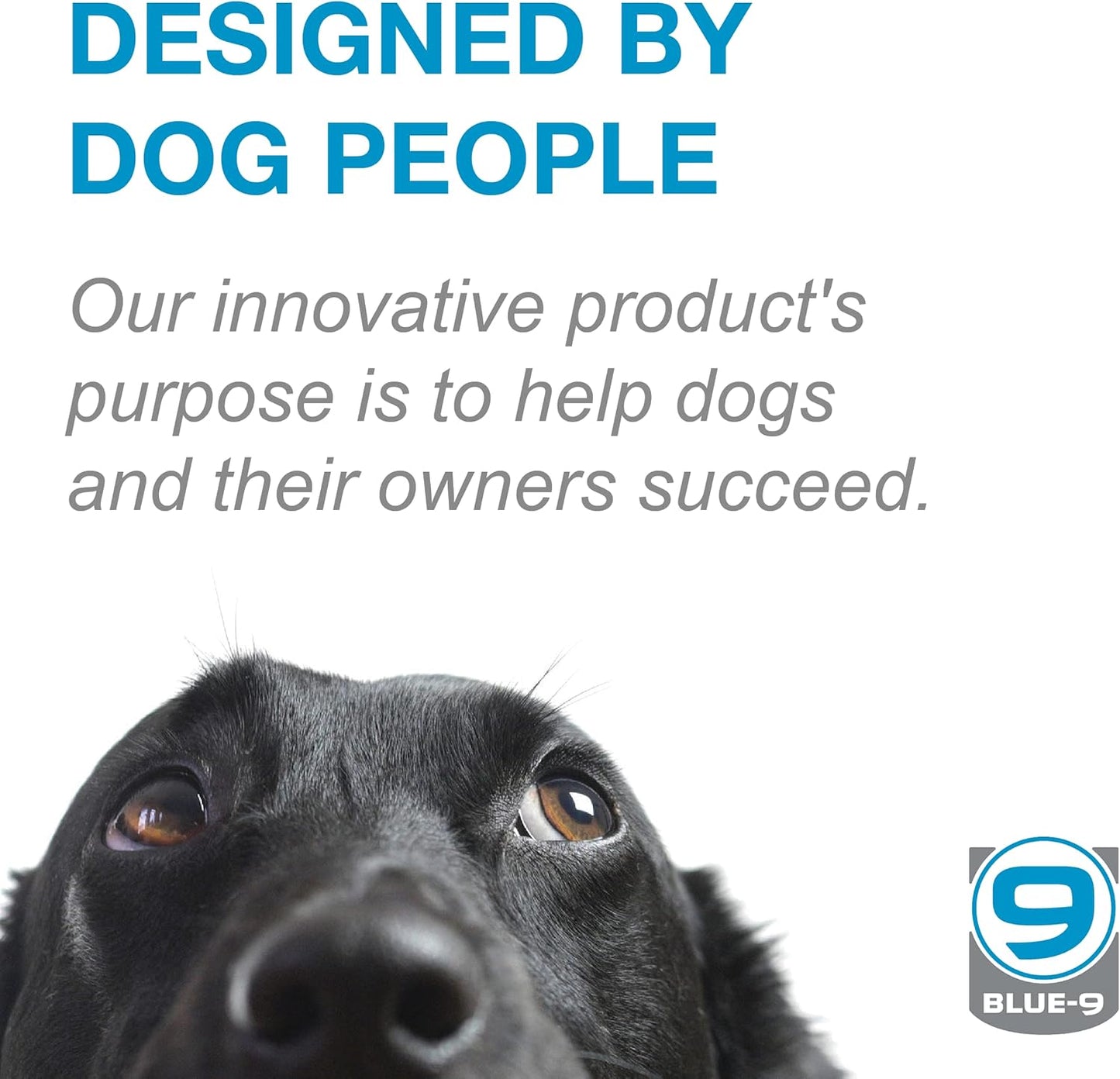 Blue-9 Pet Products Restore+ Double Dog Bed, Durable, Water Resistant, and Washable Design, 24” x 48”