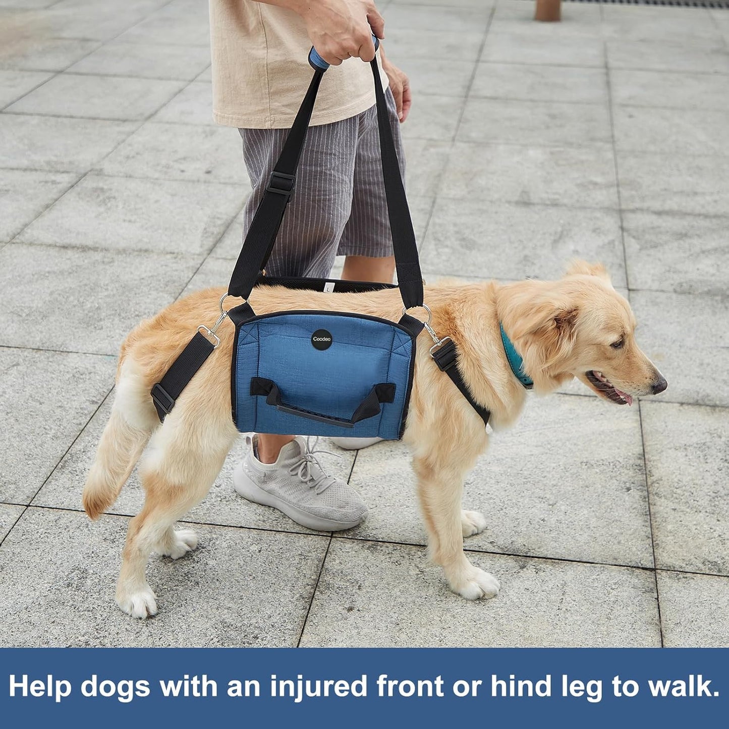 COODEO Dog Carry Sling, Emergency Backpack Pet Legs Support & Rehabilitation Dog Lift Harness for Nail Trimming, Dog Carrier for Senior Dogs Joint Injuries, Arthritis, Up and Down Stairs(XL, Blue)