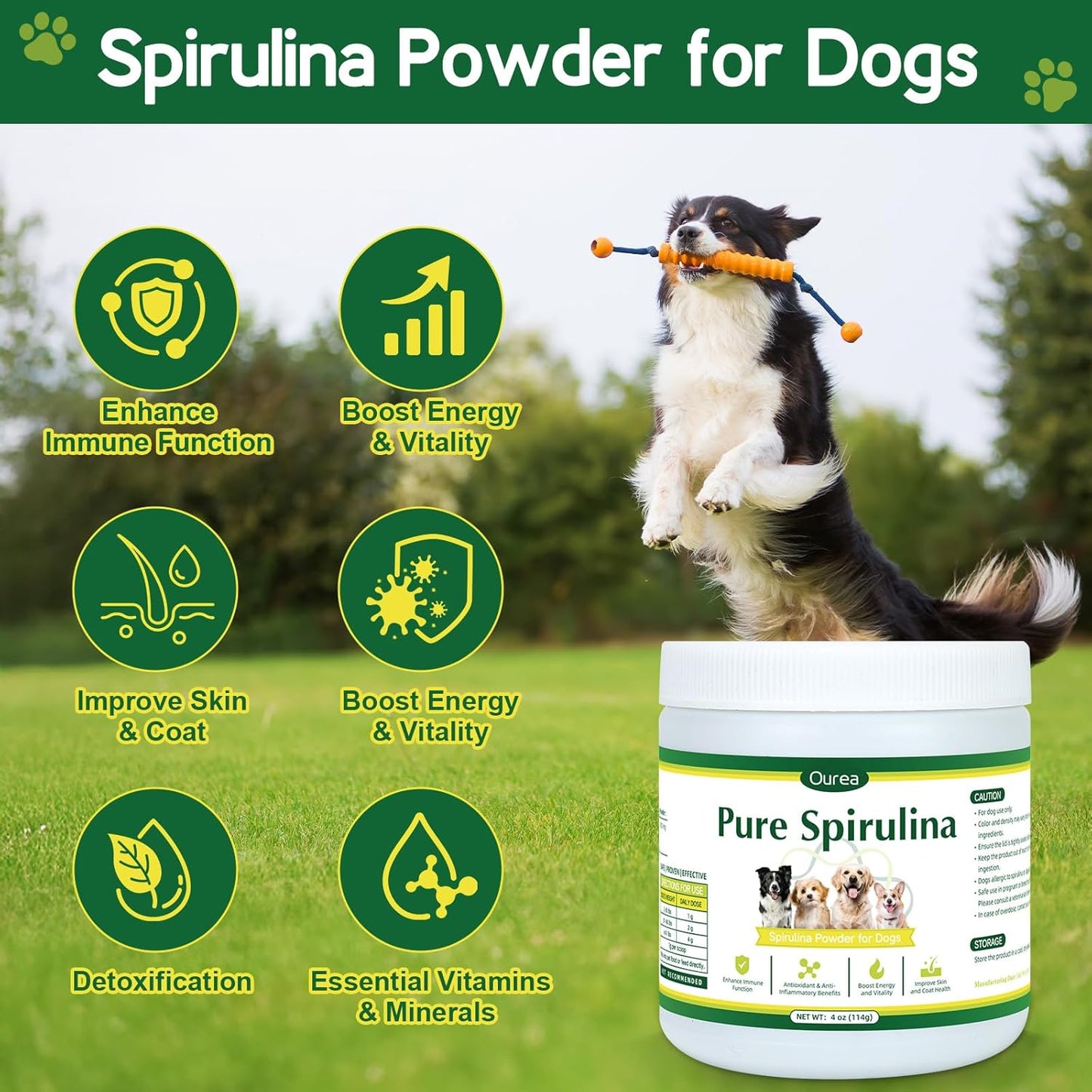 Organic Spirulina Powder for Dogs – Natural Superfood Supplement for Skin, Coat & Immune Health – 100% Pure Green Algae, No Fillers, No Additives, Boosts Energy & Vitality