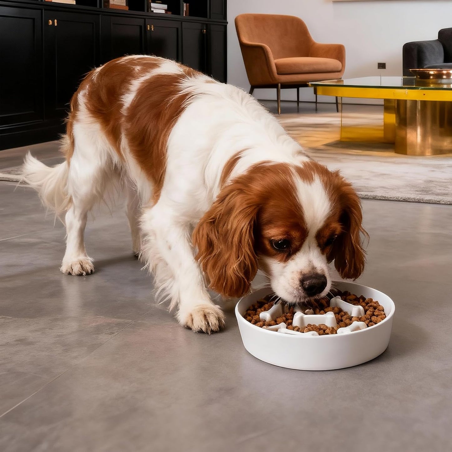 Ceramic Slow Feeder Dog Bowl, 1.5 Cup Dog Food or 20oz Water, Slow Eating Bowl for Small Breed, Maze Puzzle Feeder for Fast Eaters, Anti-Choking Stop Bloat, Non-Slip BPA Free (White Bone)