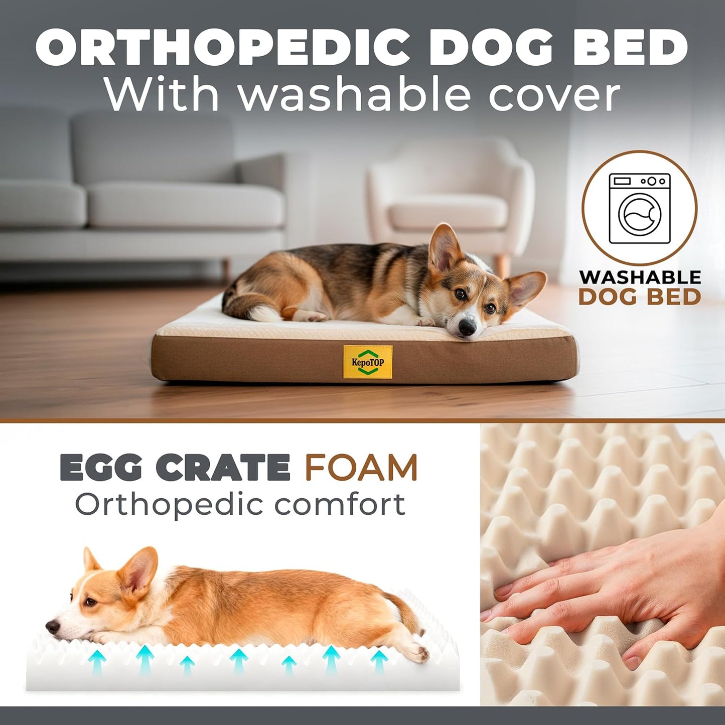 Medium Dog Bed Orthopedic | Cama para Perros | Crate Dog Bed Washable | pet beds for Medium Dogs | Puppy beds | Camas para Perros | Pet BeDs for Small Dogs | Dimensions: 28 x 24 x 3 Inches