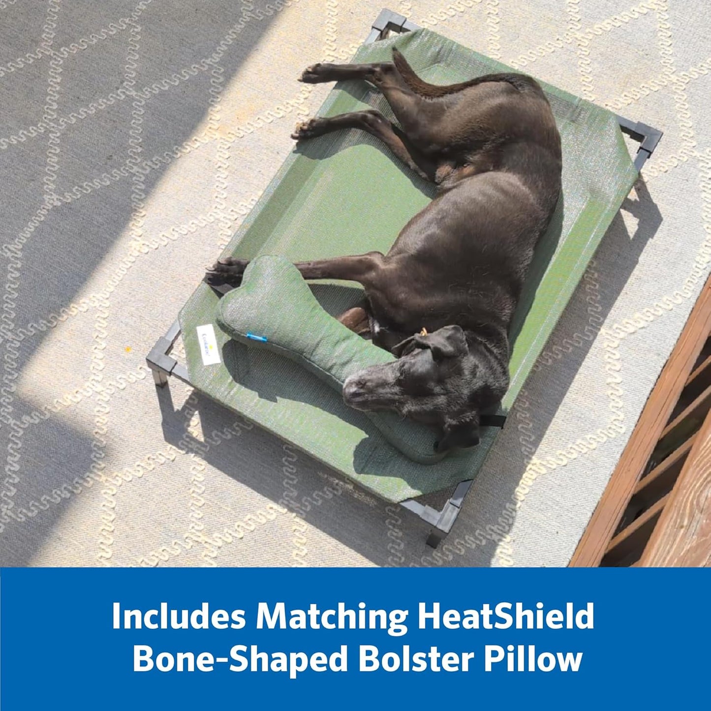 Coolaroo Pro Elevated Dog Bed with HeatShield Fabric – Advanced Cooling Raised Cot for Medium & Large Breeds, Easy-Clean, Low-to-Ground Access, Bonus Bolster Pillow – Glacier Grey