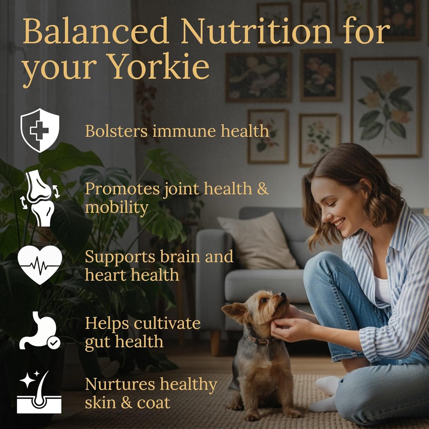 Multivitamins, Balanced Nutrition for Your Yorkie, 90 Count, Made in The USA with Real Bacon