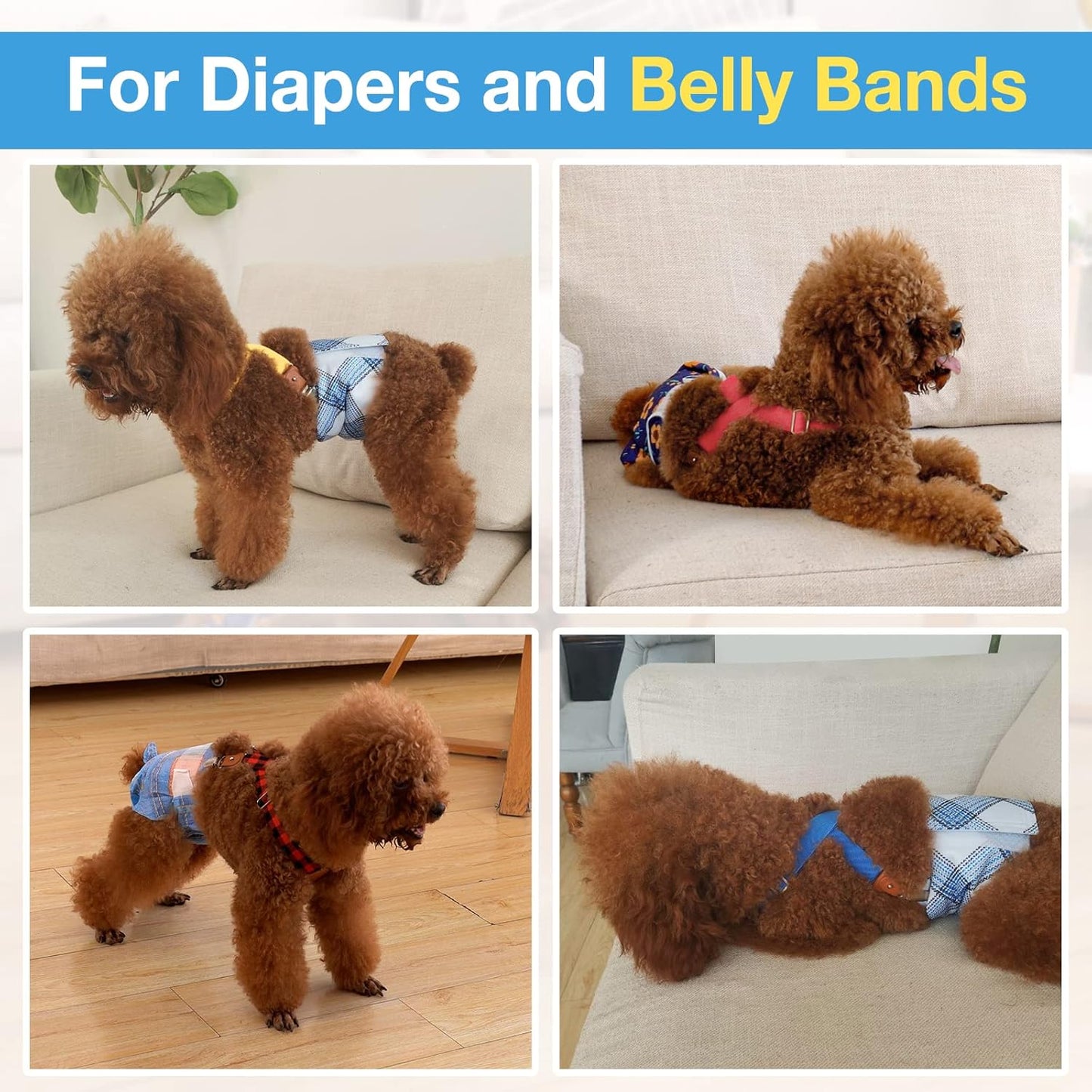 Pet Soft Dog Suspenders 2 Pieces Female Dog Diaper Suspenders for Dogs Diaper Keeper Suspender for Doggy Skirt, Dress, Diapers (Gold & Blue, S/M)