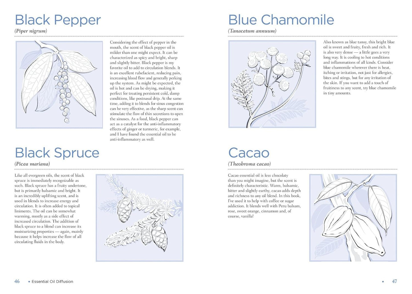Aromatherapy with Essential Oil Diffusers: For Everyday Health and Wellness