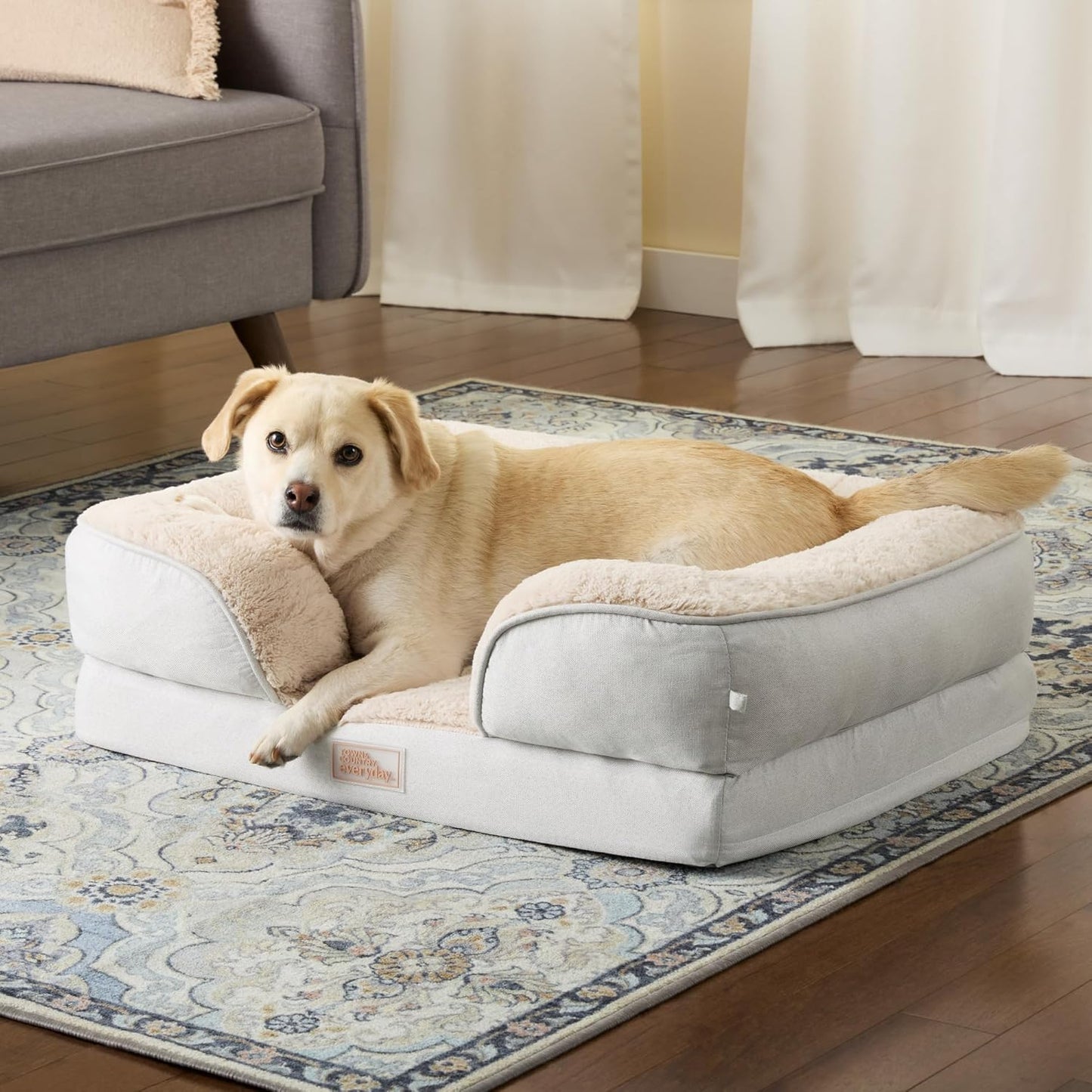 Town & Country Everyday CuddleTown 편안한 솔리드 볼스터 소파 반려동물 침대, 지지력 및 진정 계란 상자 폼, 미끄럼 방지 바닥, 세탁기 세탁 가능한 커버, 그레이, 미디엄 71.1cm x 58.4cm x 20.3cm(28x23x8인치)