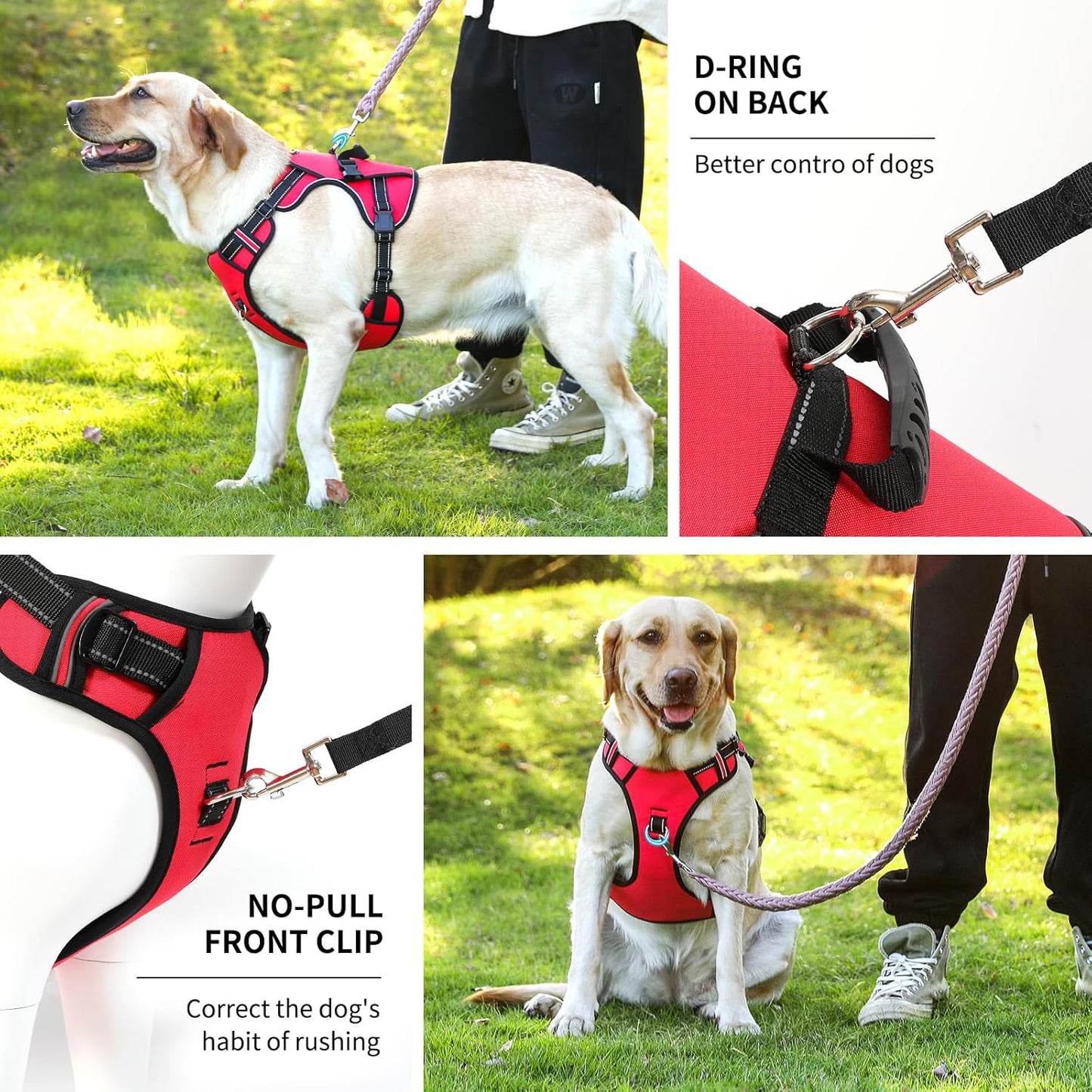 NOYAL Dog Lift Harness for Senior & Injured Pets – Full-Body Support Sling with Breathable Mesh, Front/Rear Leg Assist for Arthritis, Hip Dysplasia & Post-Surgery Recovery (Medium-Large Breeds)