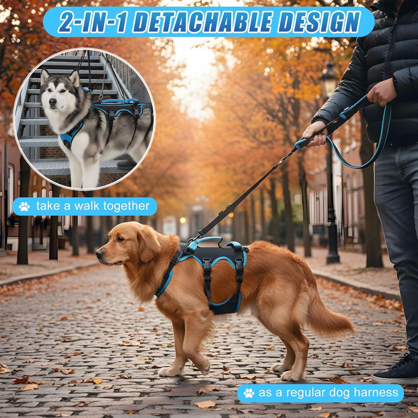 Dog Lift Harness for Large Dogs, 2-in-1 Detachable Full Body Support Acl Dog Sling Carrier with 4 Handles, Hind Assist Back Leg for Senior, Disabled, Arthritic & Post-surgery Canines(X-Large)