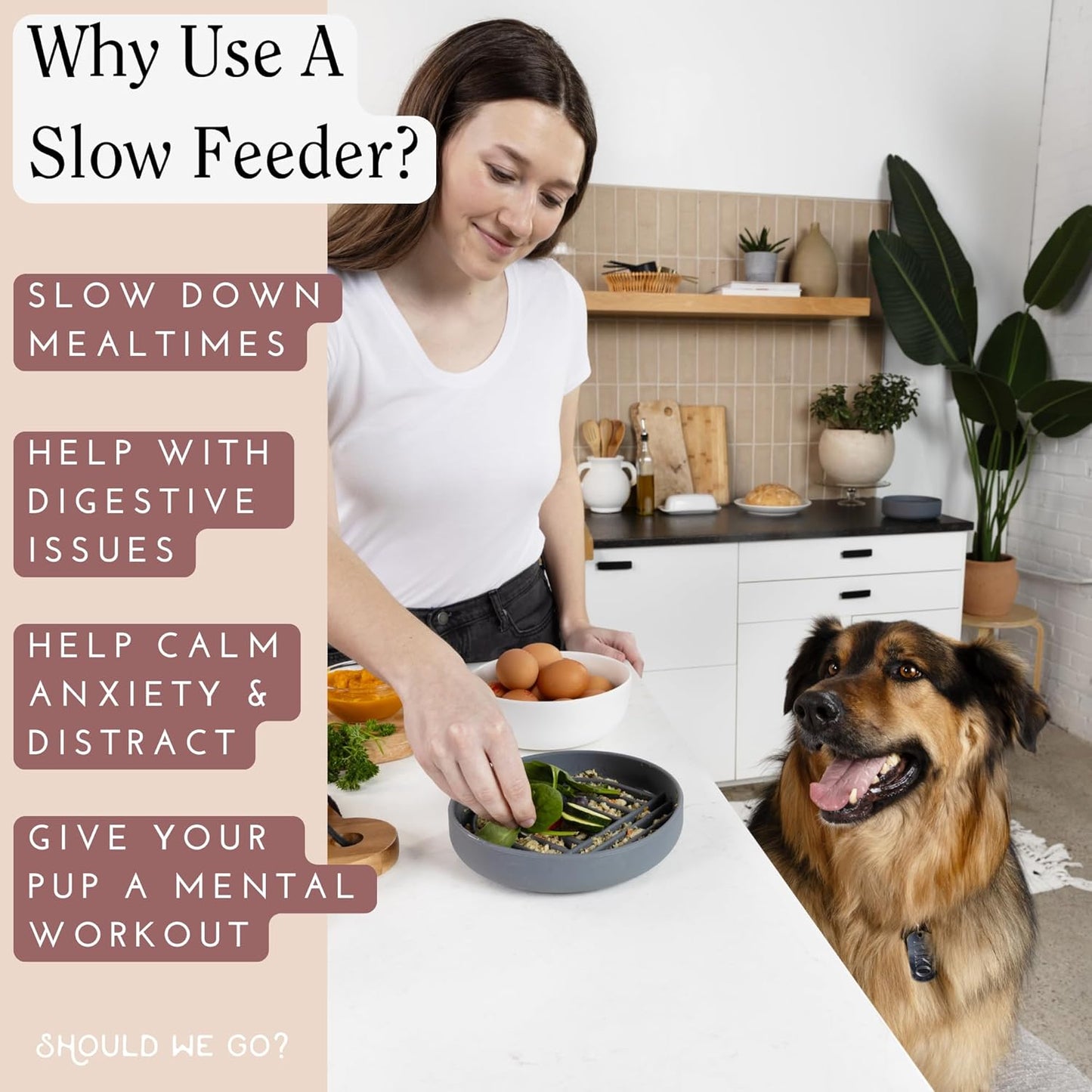 Should We Go? Silicone Pet Feeding Set - Slow Feeder Bowl, Waterproof Food Mat & Non-Spill Water Bowl - Non-Slip, Easy-to-Clean, Dishwasher Friendly for Dogs & Cats, Small-Terracotta