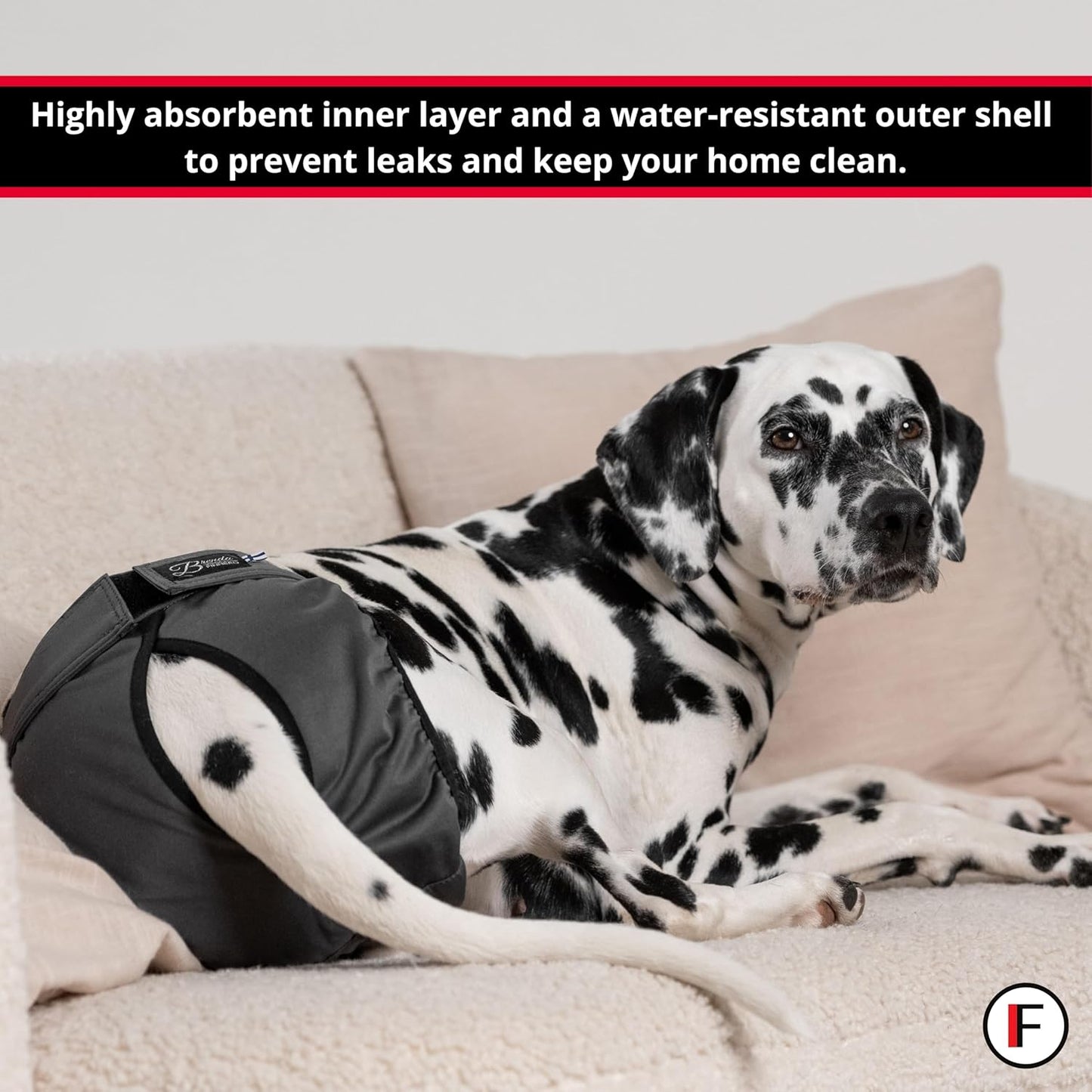 FINNERO Brenda Reusable Dog Diaper, Leak-Proof, Adjustable, Heat & Incontinence Protection, M – Gray