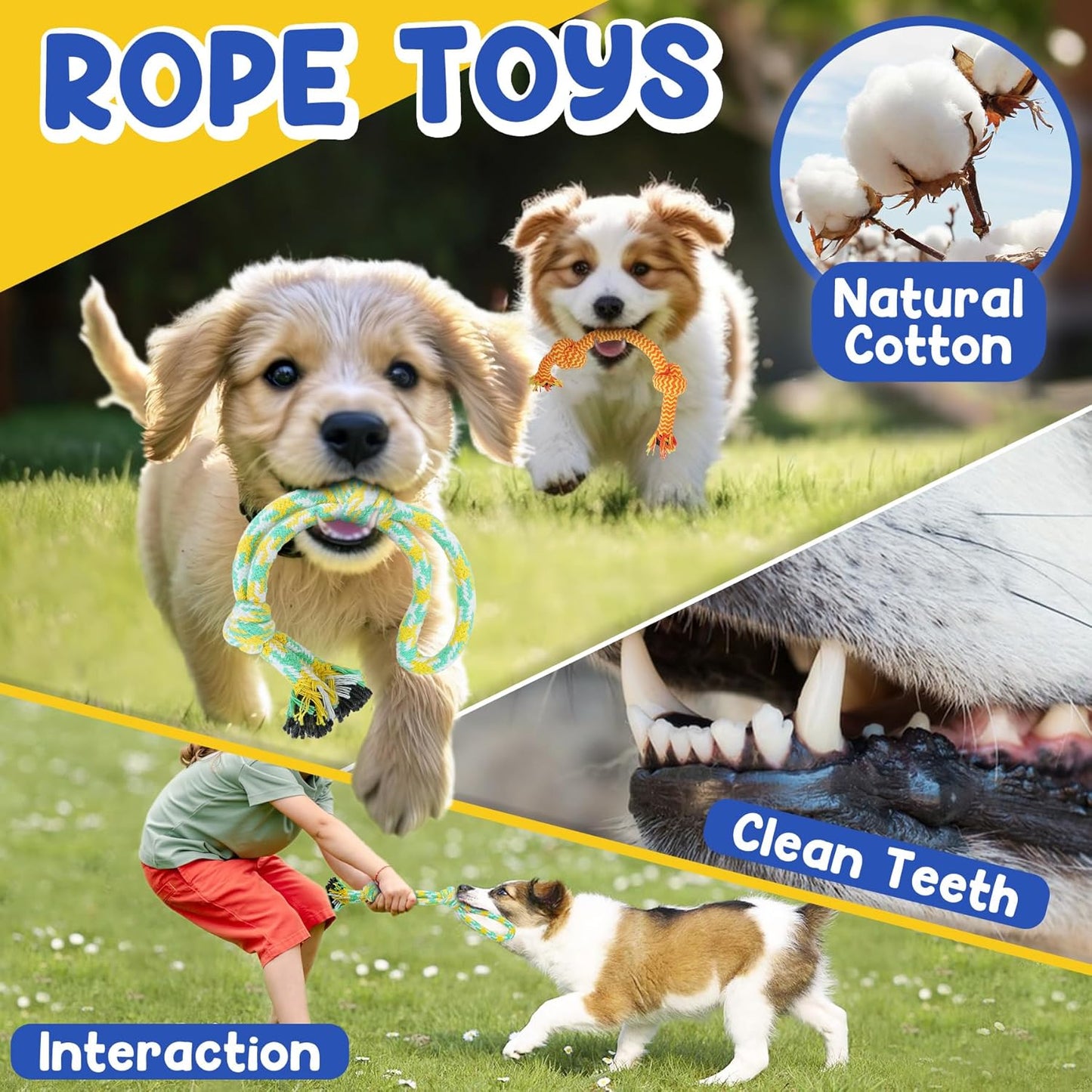 Puppy Toys for Teething, 9 Pack Interactive Dog Toys for Small Dogs, Puppy Chew Toys for Boredom with Rope Toys, Treat Ball and Cute Squeaky Toys