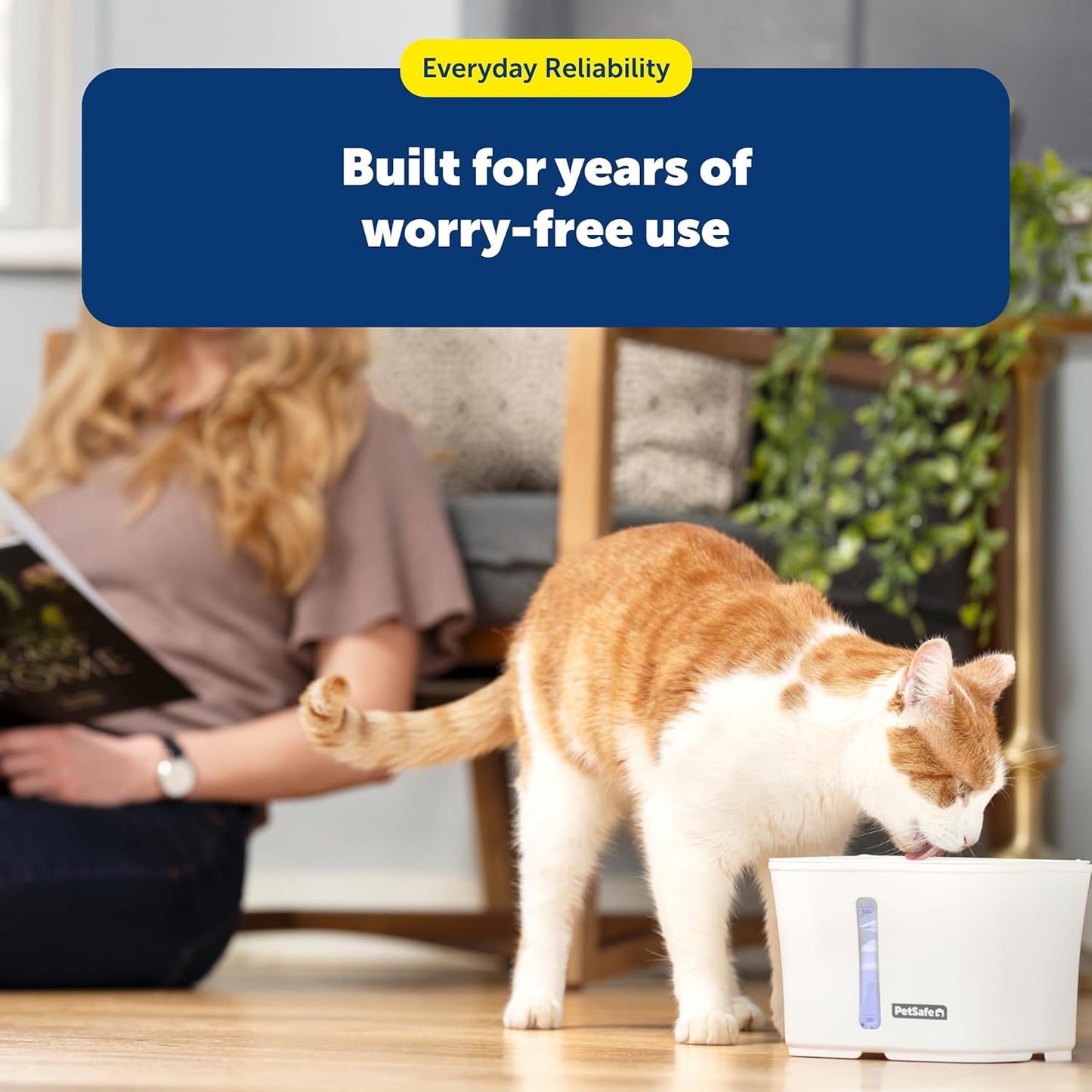 PetSafe Ion-X Pet Fountain Filters 4-Pack - Dual Filtration - Activated Carbon Water Filter - Removes Bad Taste & Odor - Water Softening Filter for Cats & Dogs
