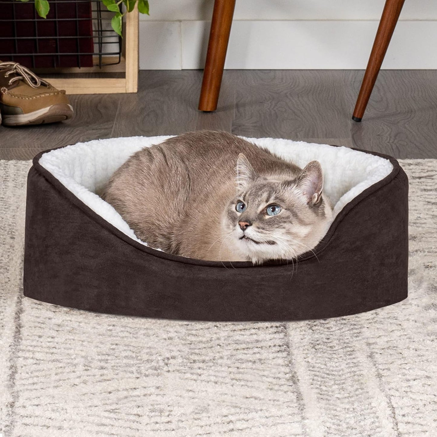 Furhaven Orthopedic Dog Bed for Small Dogs w/ Removable Washable Cover, For Dogs Up to 12 lbs - Sherpa & Suede Oval Lounger - Espresso, Small